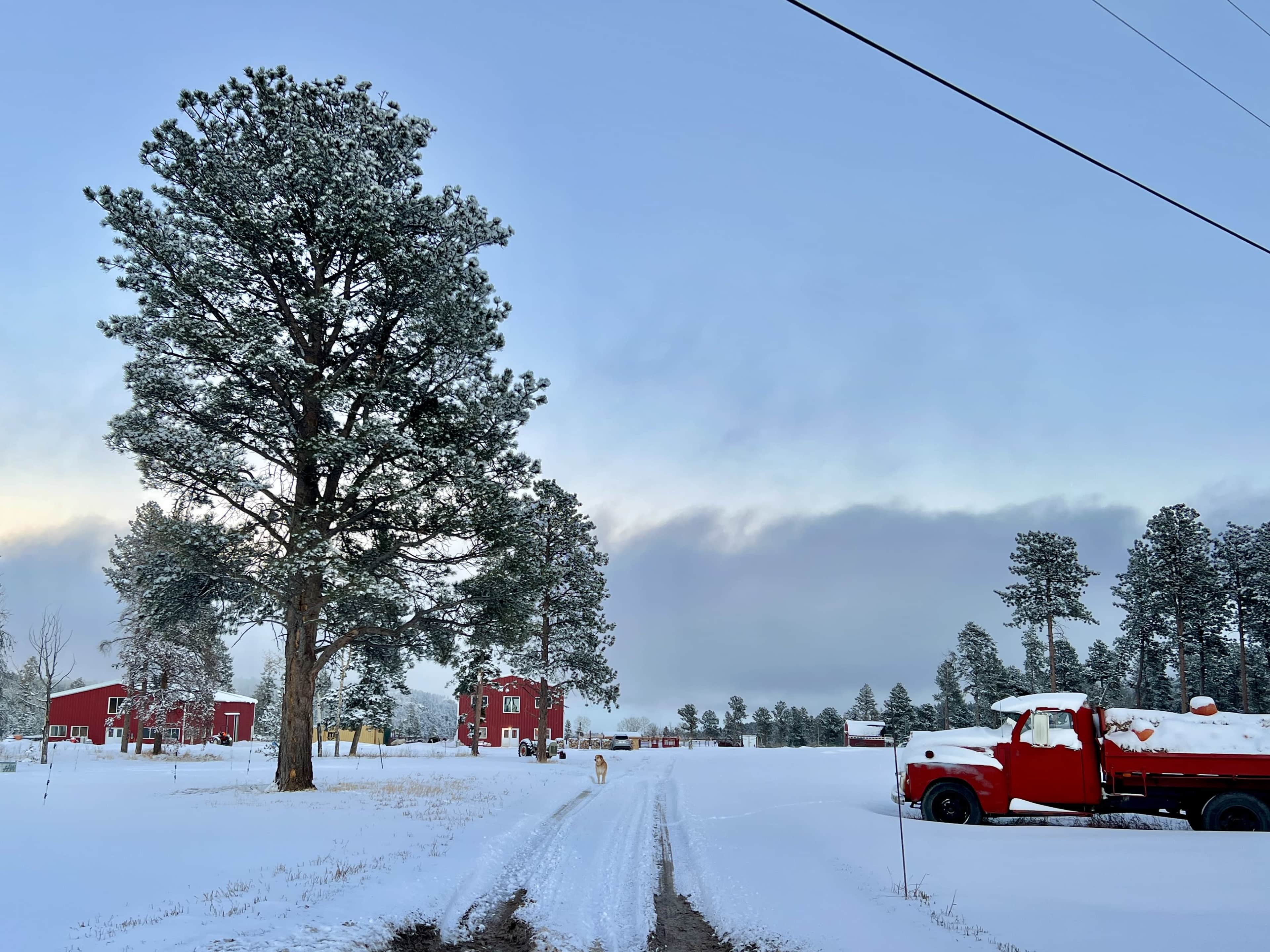 A red truck is parked near a snow-covered dirt road that leads through a snowy landscape with tall trees and red buildings in the background.