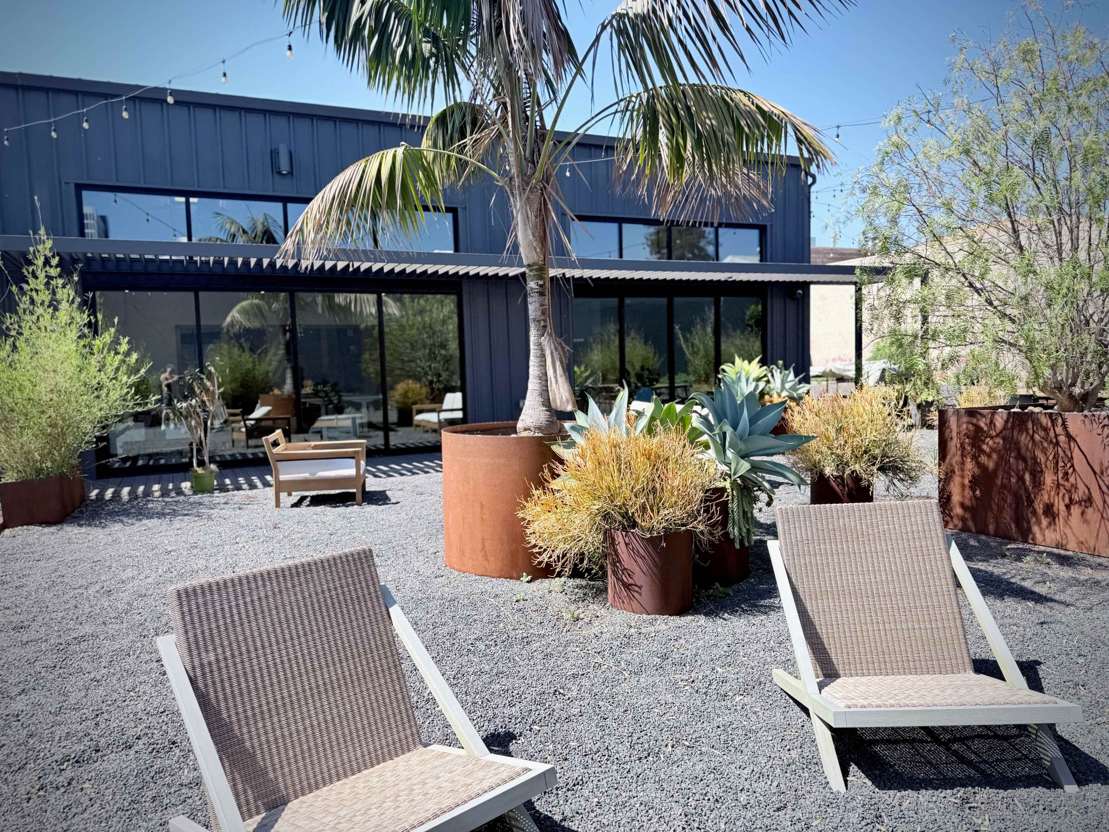 The image shows a sunny outdoor space with lounge chairs, large potted plants, and a modern building in the background.
