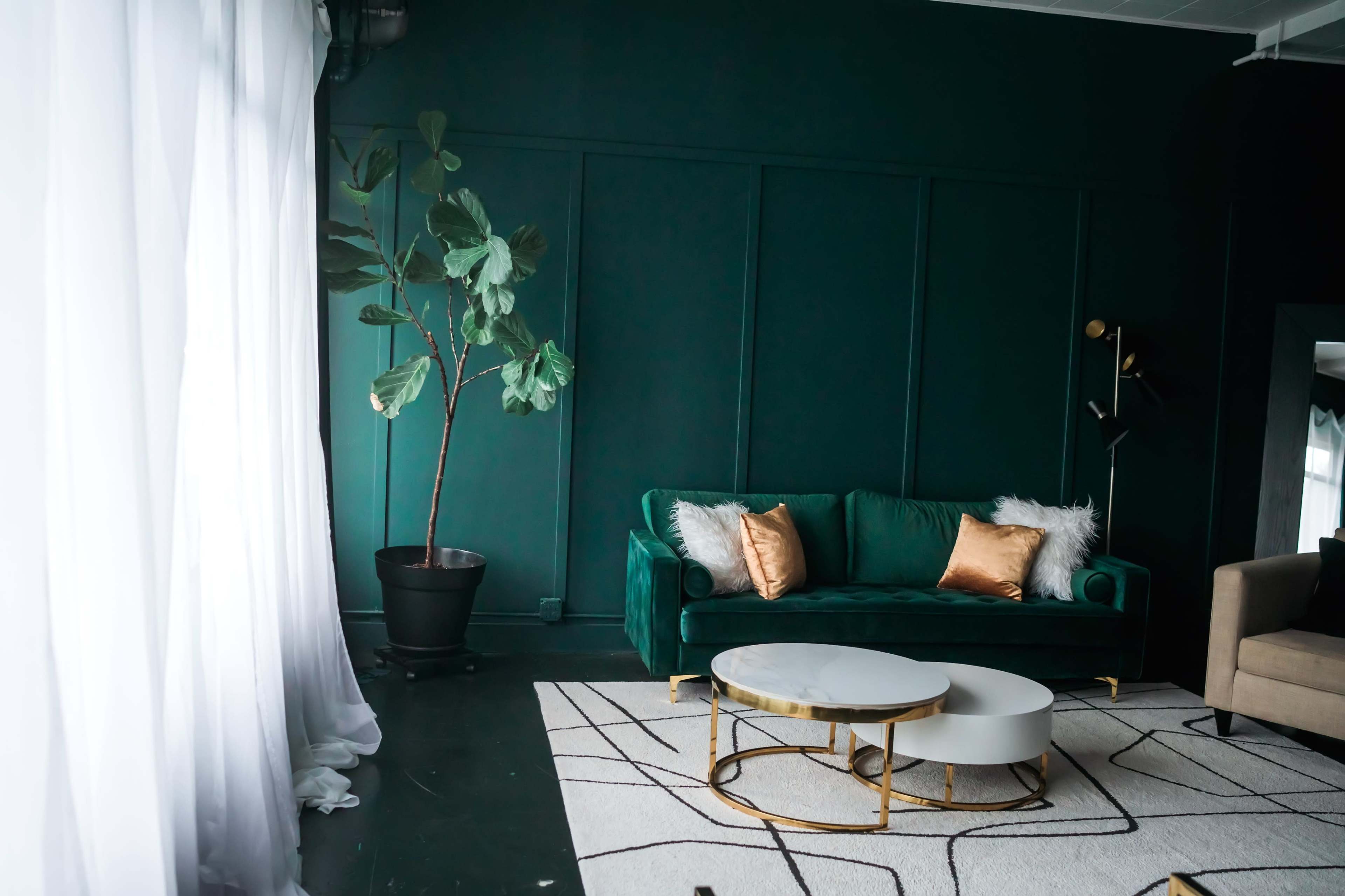 The image shows a stylish living room featuring a dark green wall, a green velvet sofa with decorative pillows, a large floor plant, and two circular coffee tables on a patterned rug.