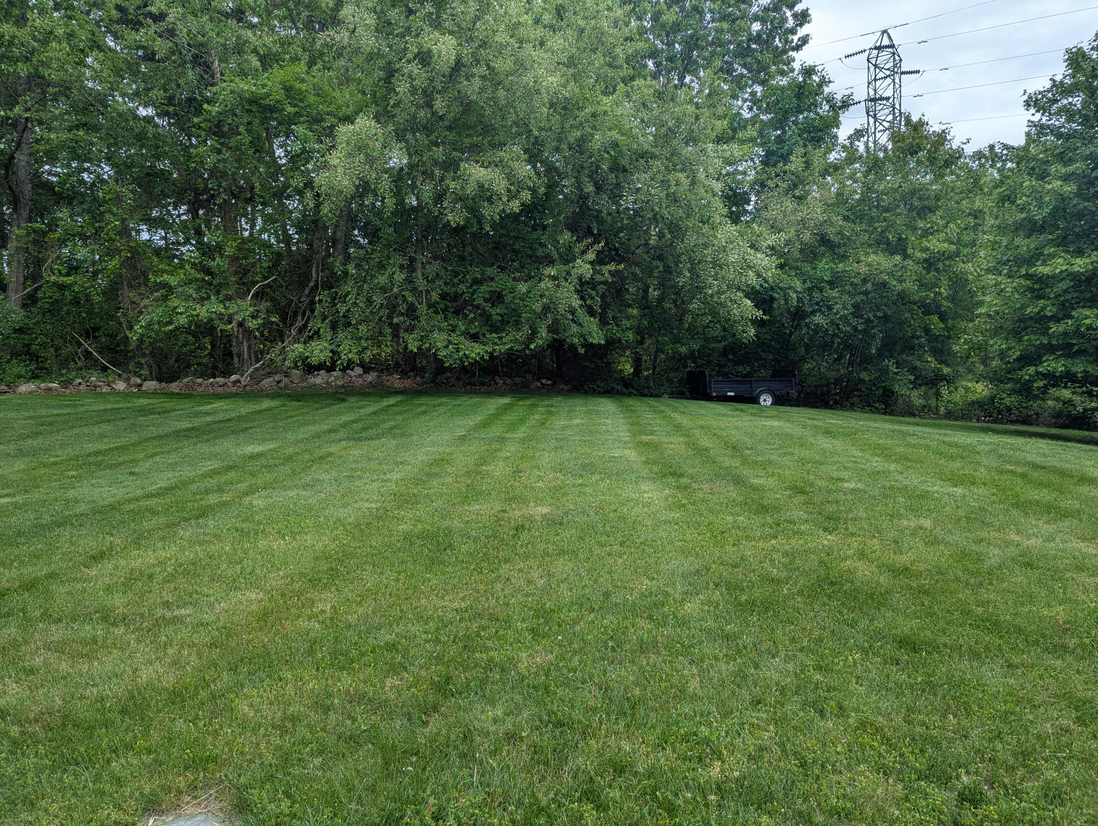 A green lawn with visible mowing stripes extends towards a tree line, with a vehicle parked in the background.