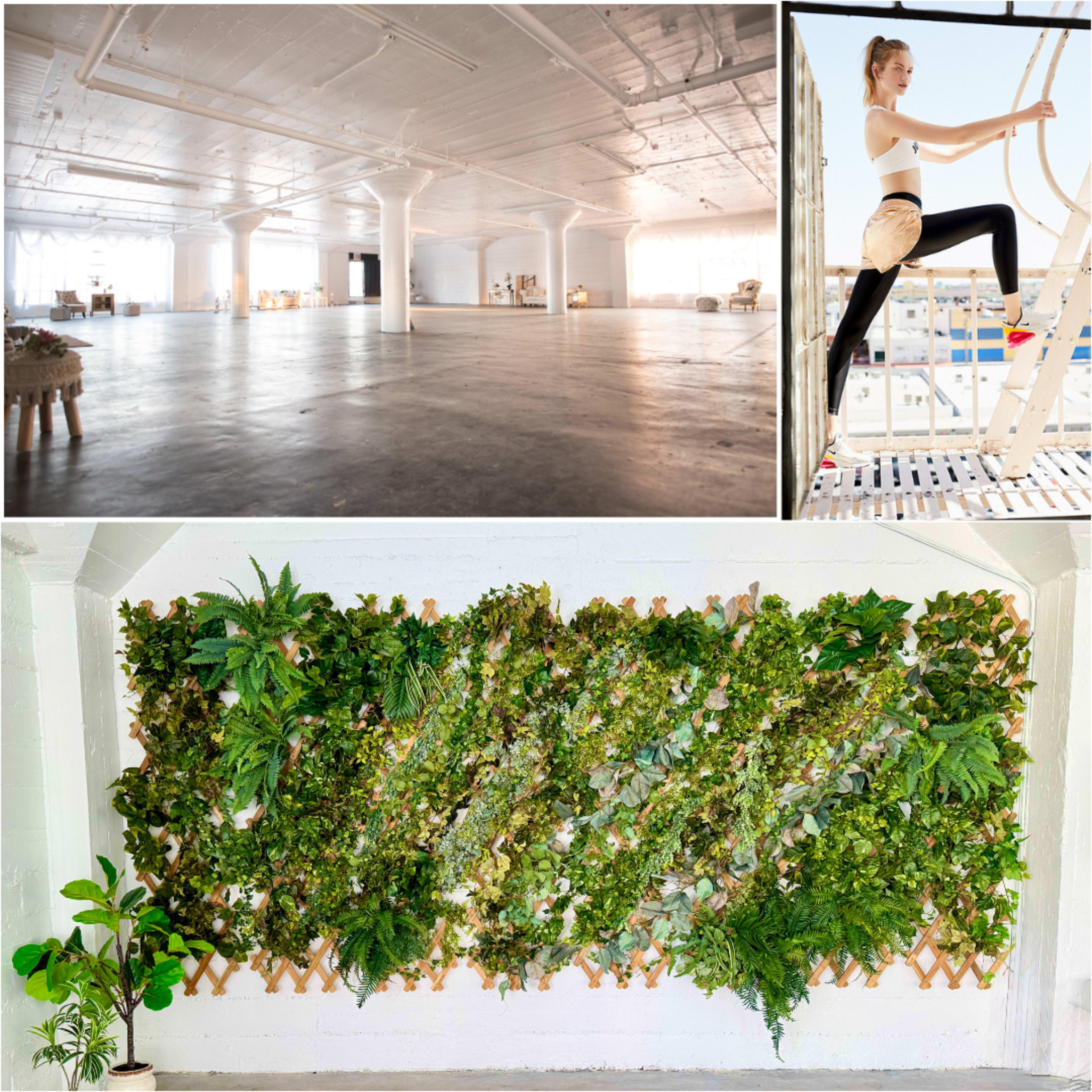 DTLA Natural Light Creative Studio w/ Greenery Wall, Large Windows / Photo & Film / West & South Facing Windows Image in Central LA, Los Angeles, CA