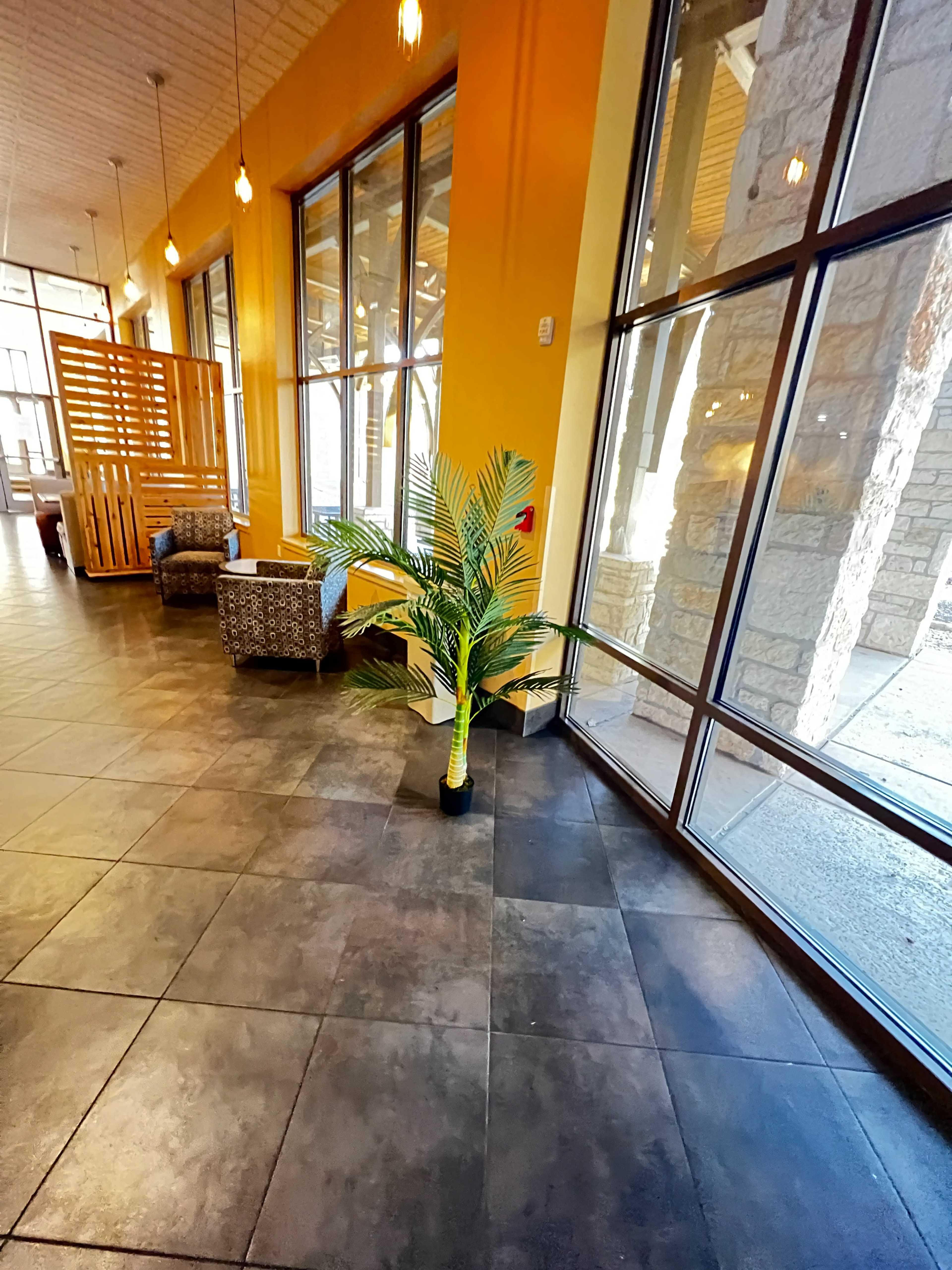 The image shows a bright interior with large windows, a potted palm plant, and patterned furniture near the entrance.