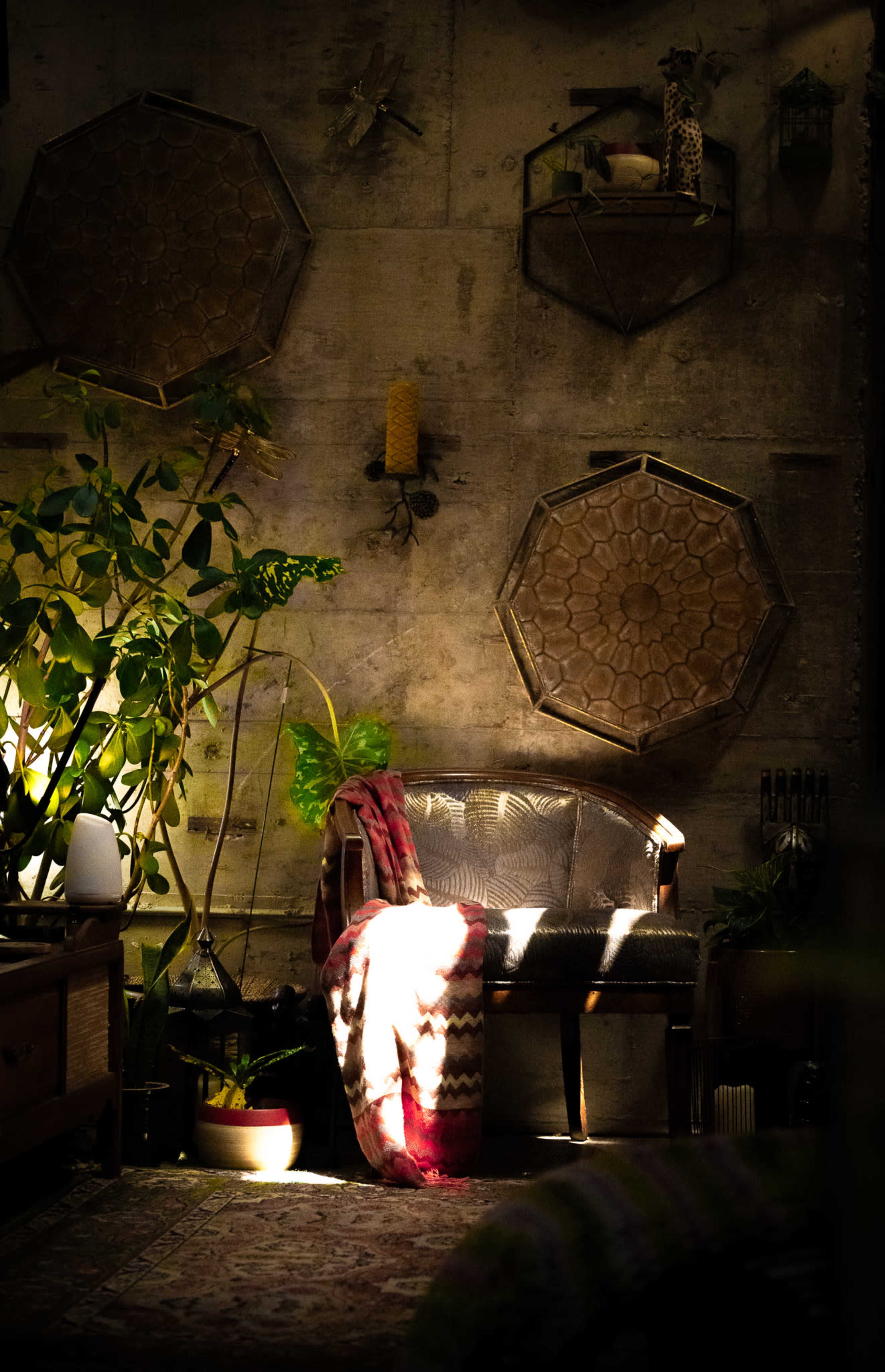 The image shows a rustic interior with a patterned chair adorned with a blanket, surrounded by plants and decorative wall hangings.