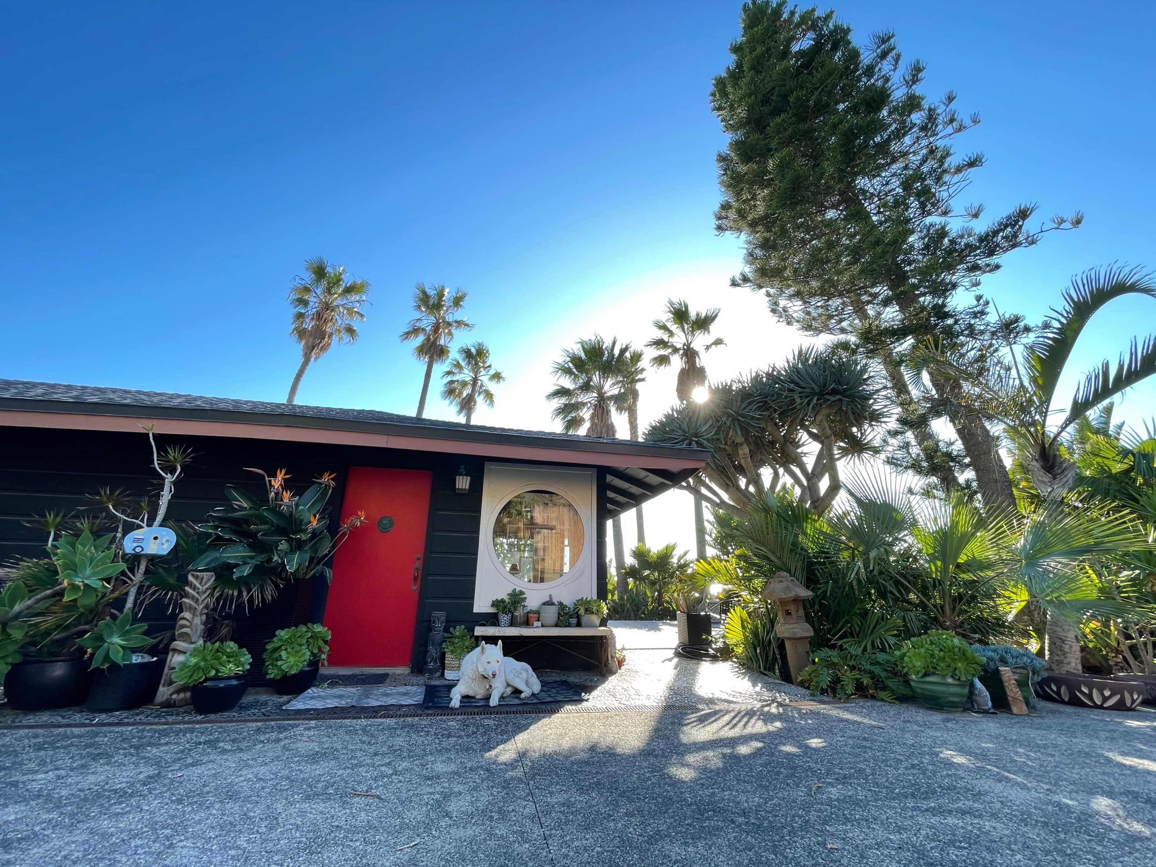 A modern house with a red door and a circular window, surrounded by tropical plants and palm trees.