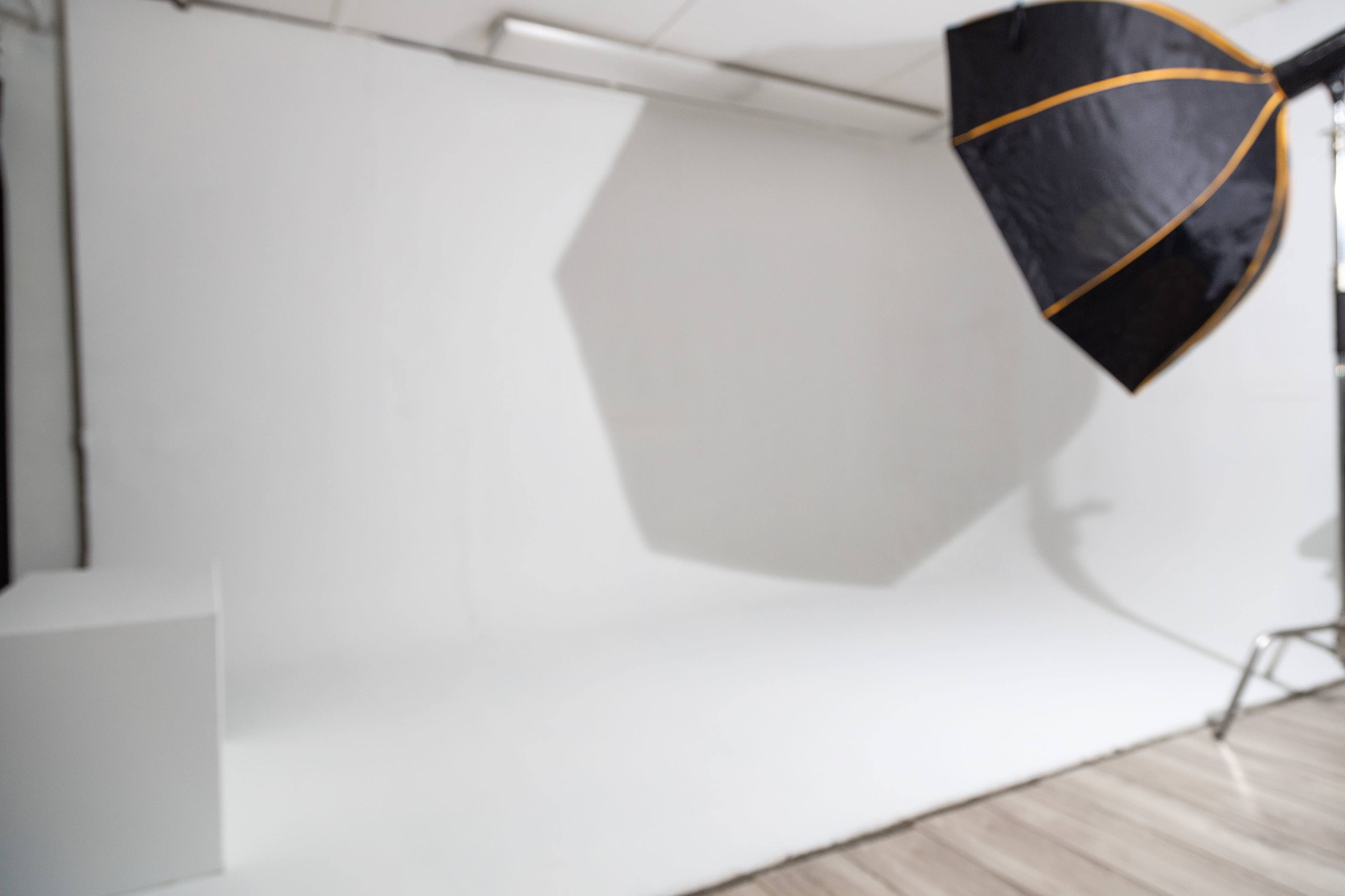 The image shows a studio setup with a large softbox light positioned above a blank, white backdrop and wooden floor.
