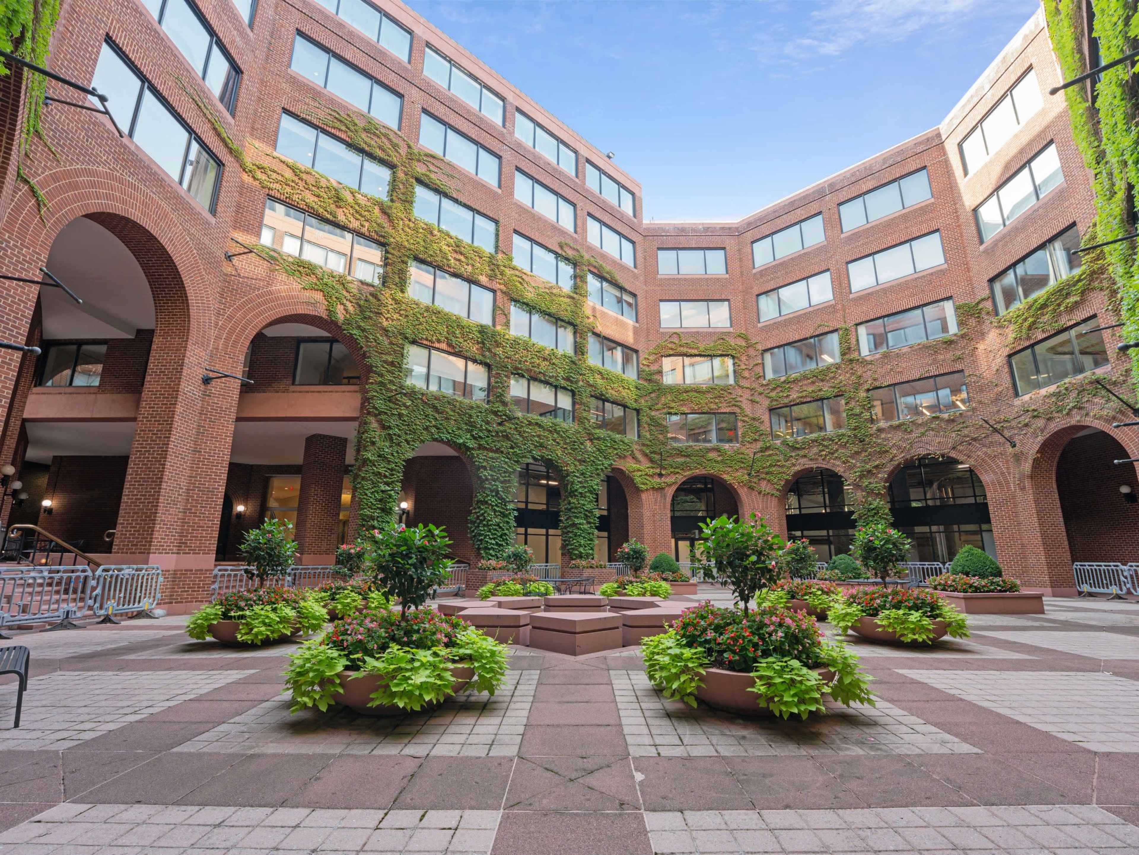 The image shows a brick courtyard with large windows and greenery climbing the walls, featuring potted plants arranged in a symmetrical design.
