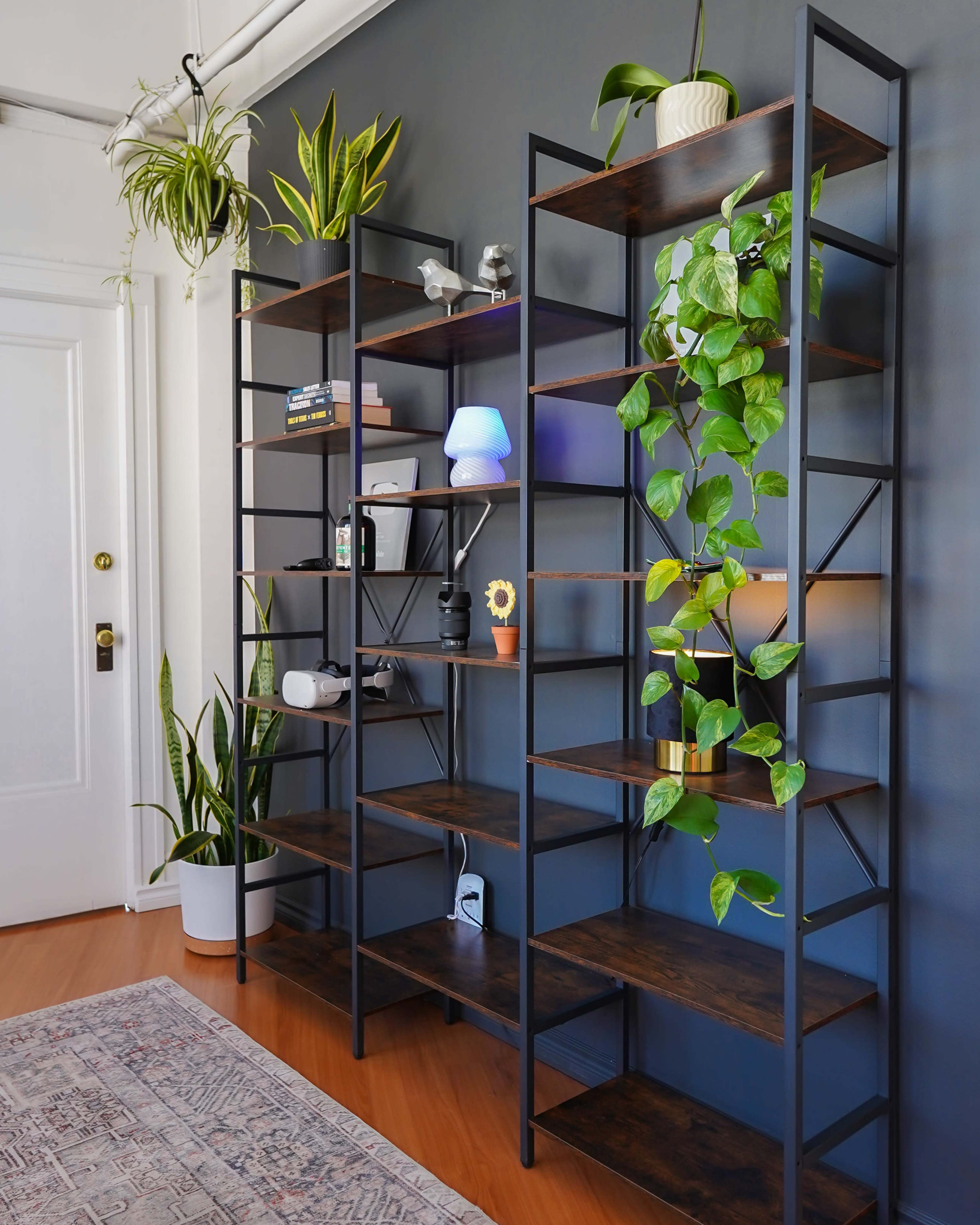 A modern living space features two metal shelving units filled with plants and decorative items against a dark wall.