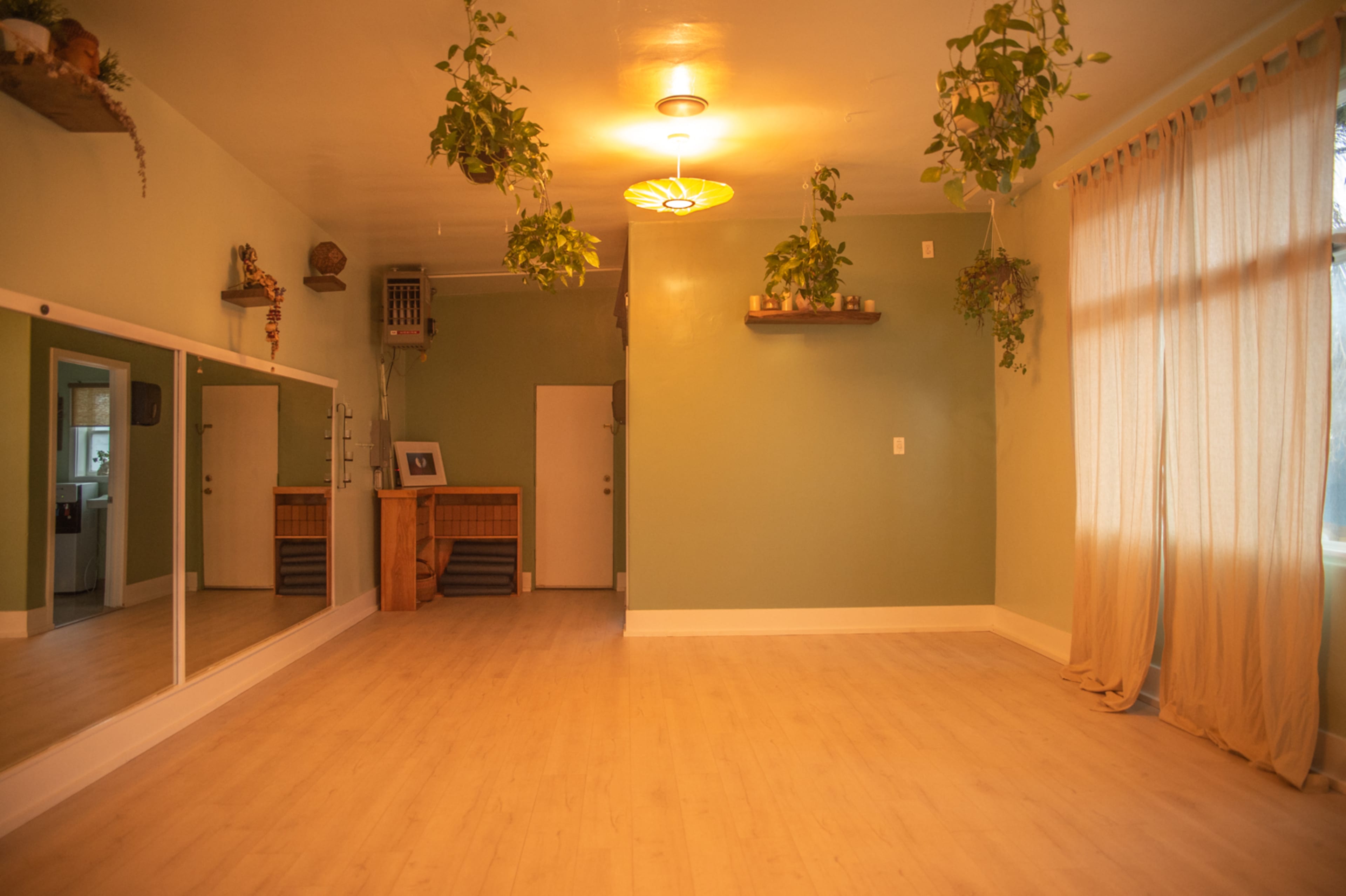 A spacious room features a mirrored wall, wooden shelves with plants, and large windows dressed with curtains.