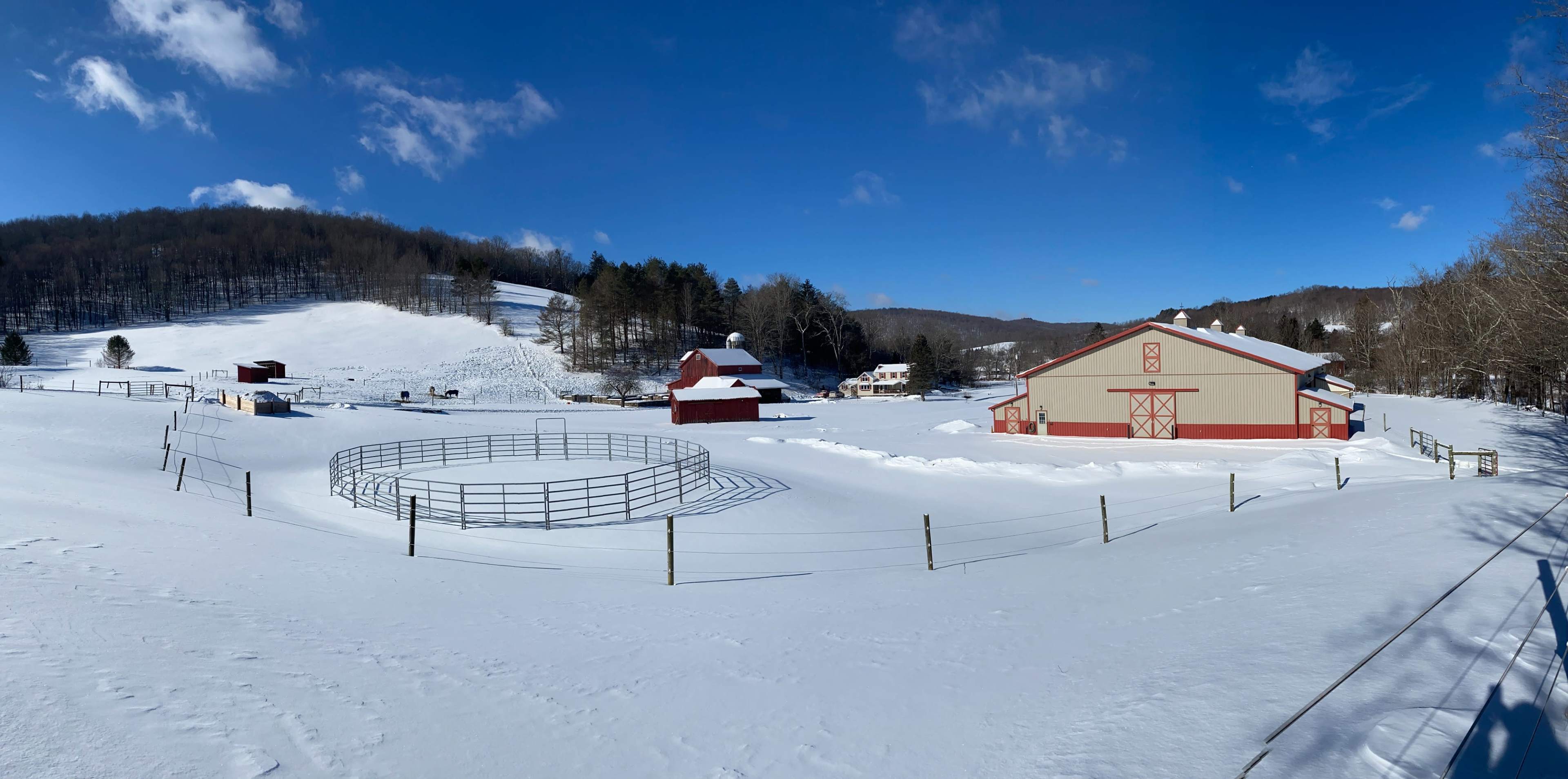 A panoramic view of a snow-covered farm featuring several red barns and fenced areas under a clear blue sky.