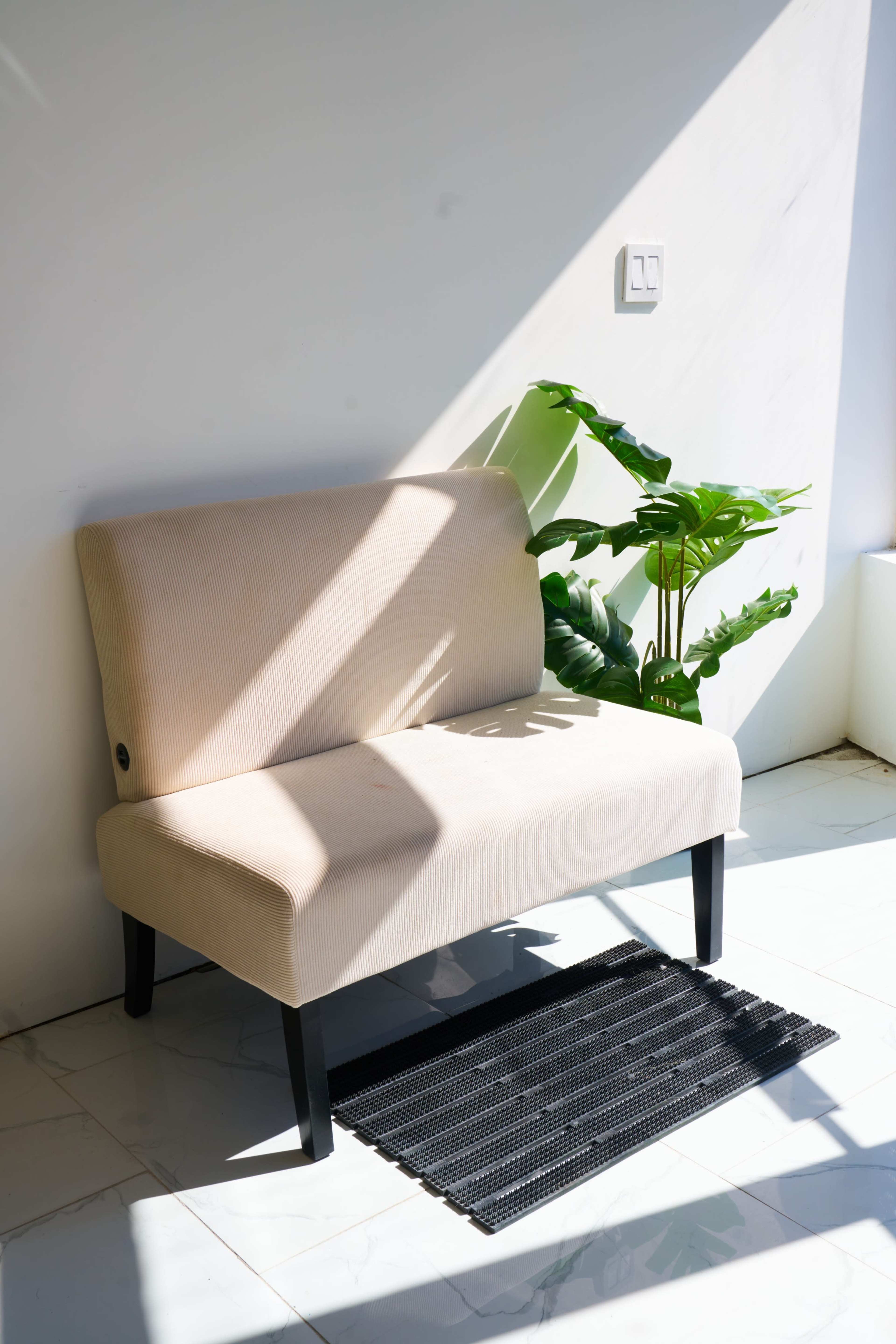 A beige two-seater sofa is positioned next to a potted green plant on a tiled floor, illuminated by sunlight streaming through a nearby window.