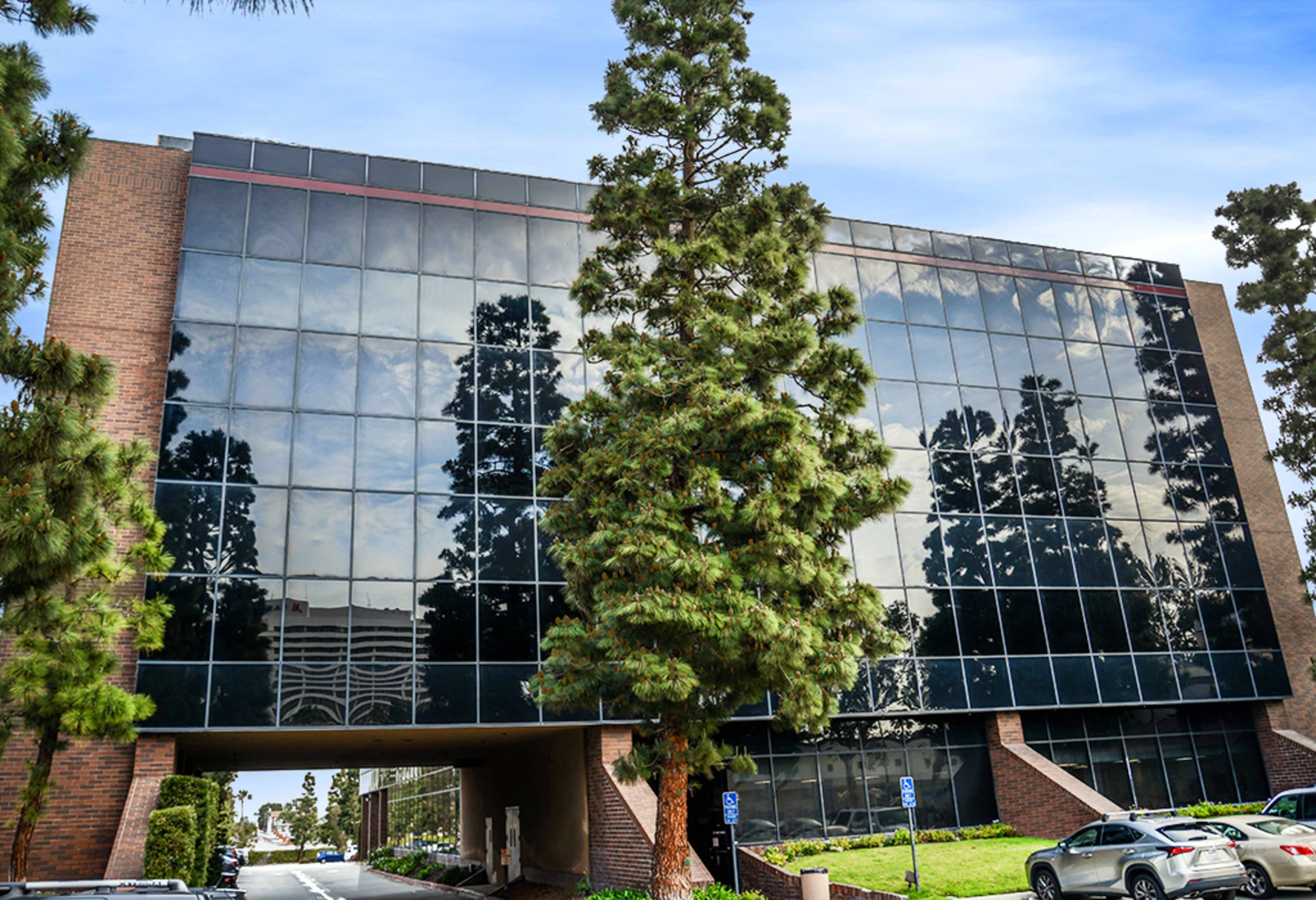 A modern office building with large glass windows and surrounding pine trees is visible from the front.