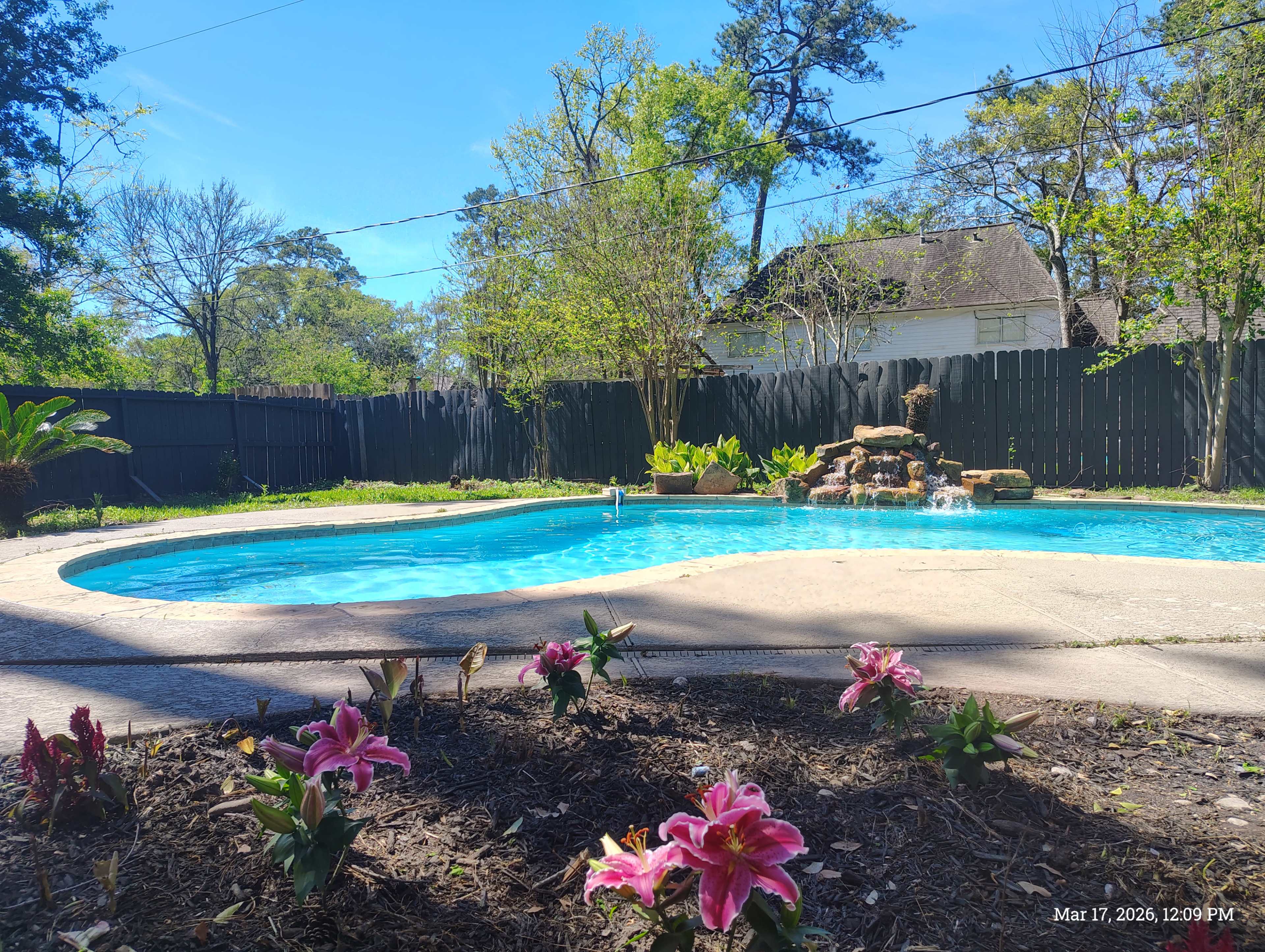 The image shows a backyard scene featuring a swimming pool with a small waterfall surrounded by greenery and blooming flowers.