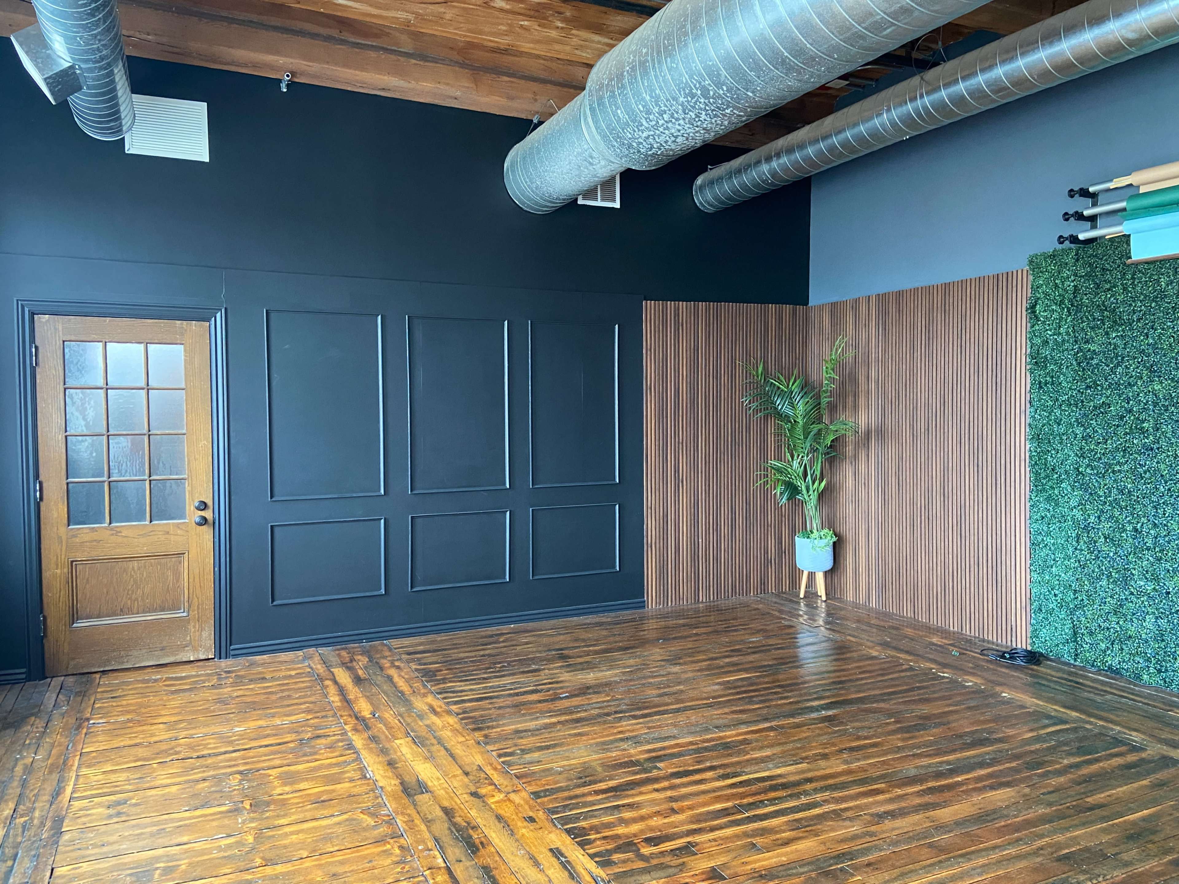 An interior room with dark walls, wooden flooring, a door with glass panels, and a section featuring wood paneling and greenery.
