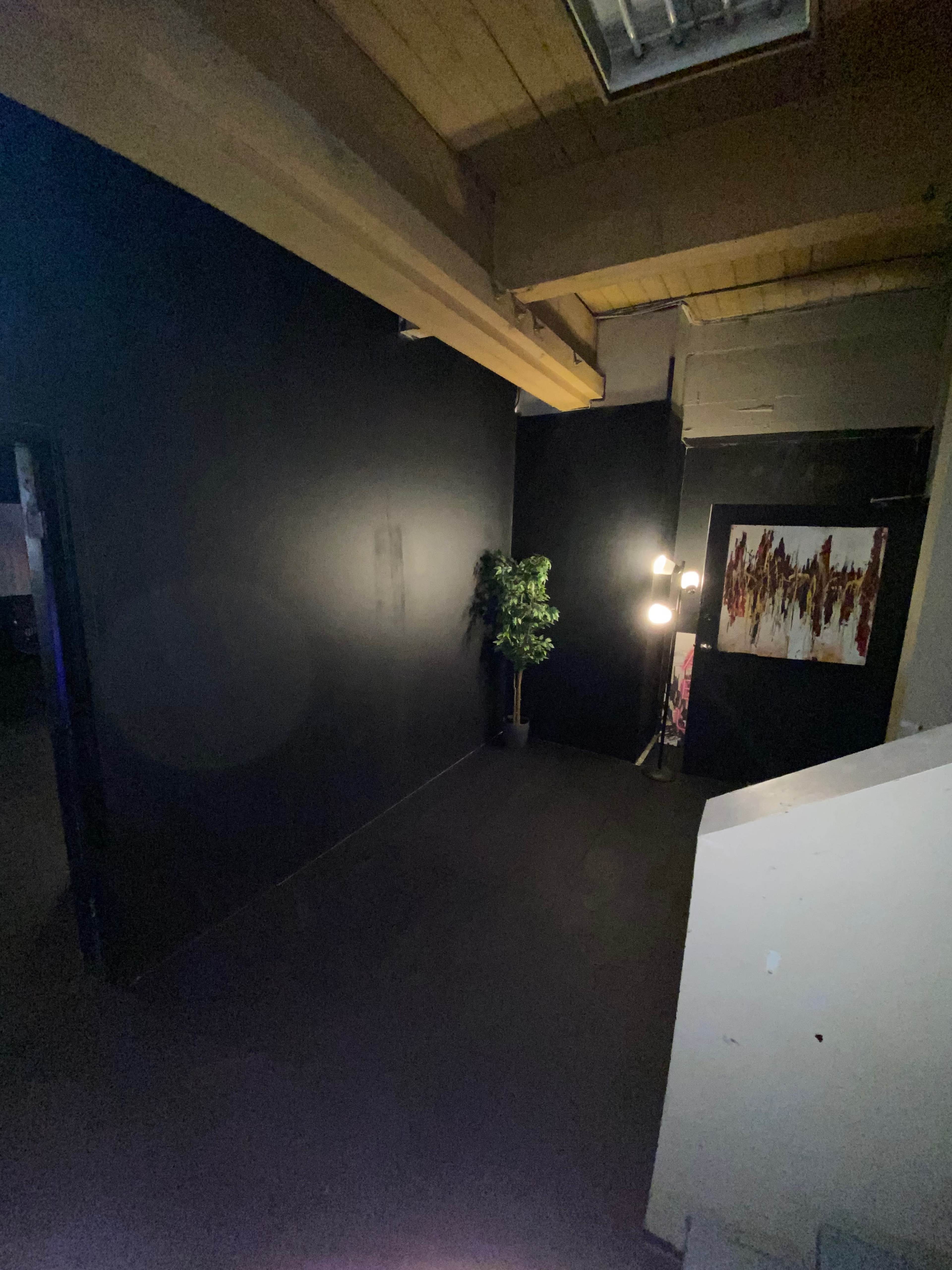 A dimly lit corner of a room featuring a black wall, a potted plant, and an artwork above a light source.