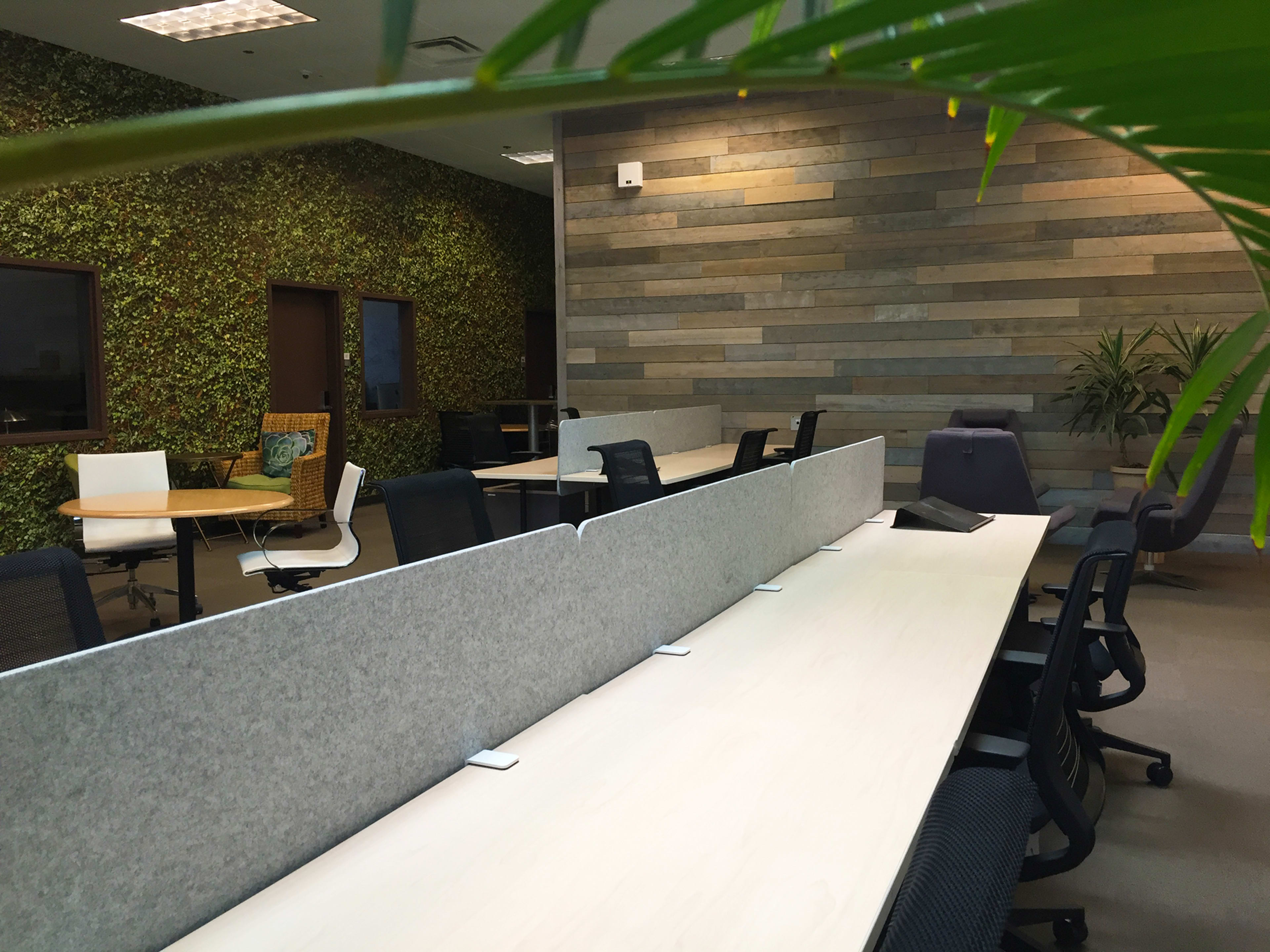 The image shows a modern office space featuring organized workstations, a textured green wall, and various seating arrangements.