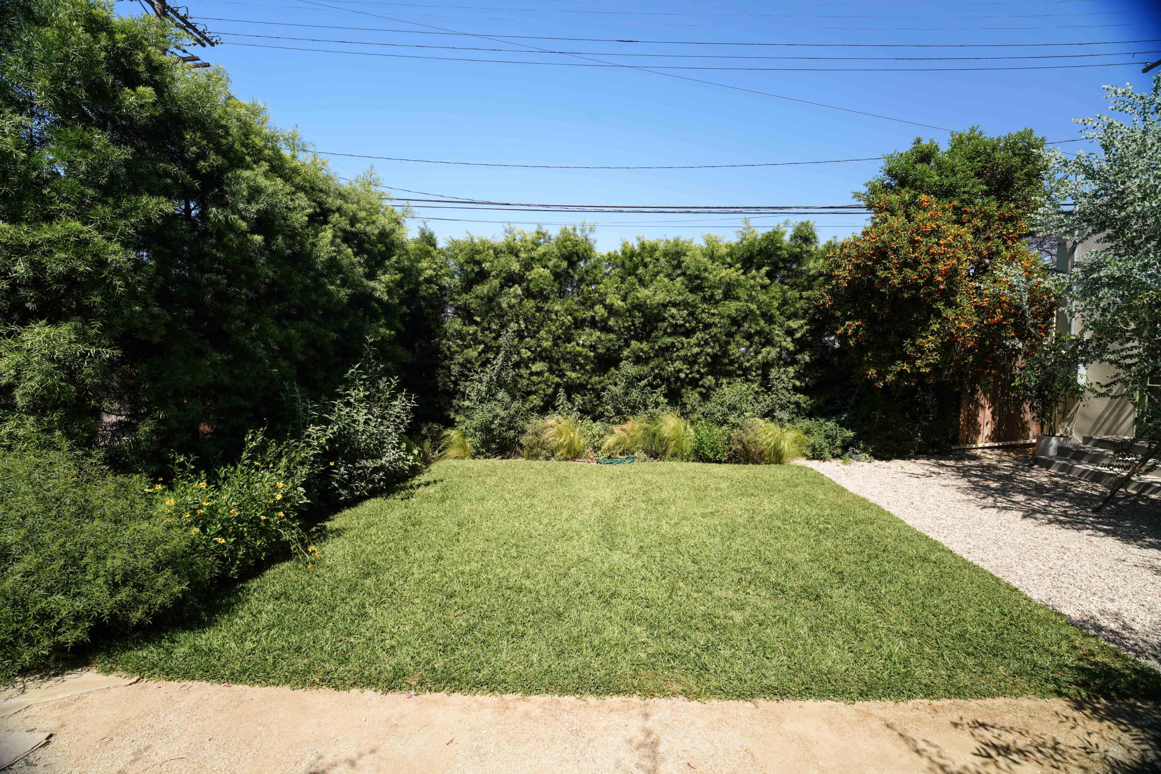 A grassy backyard is surrounded by tall green shrubs with a gravel path on one side.