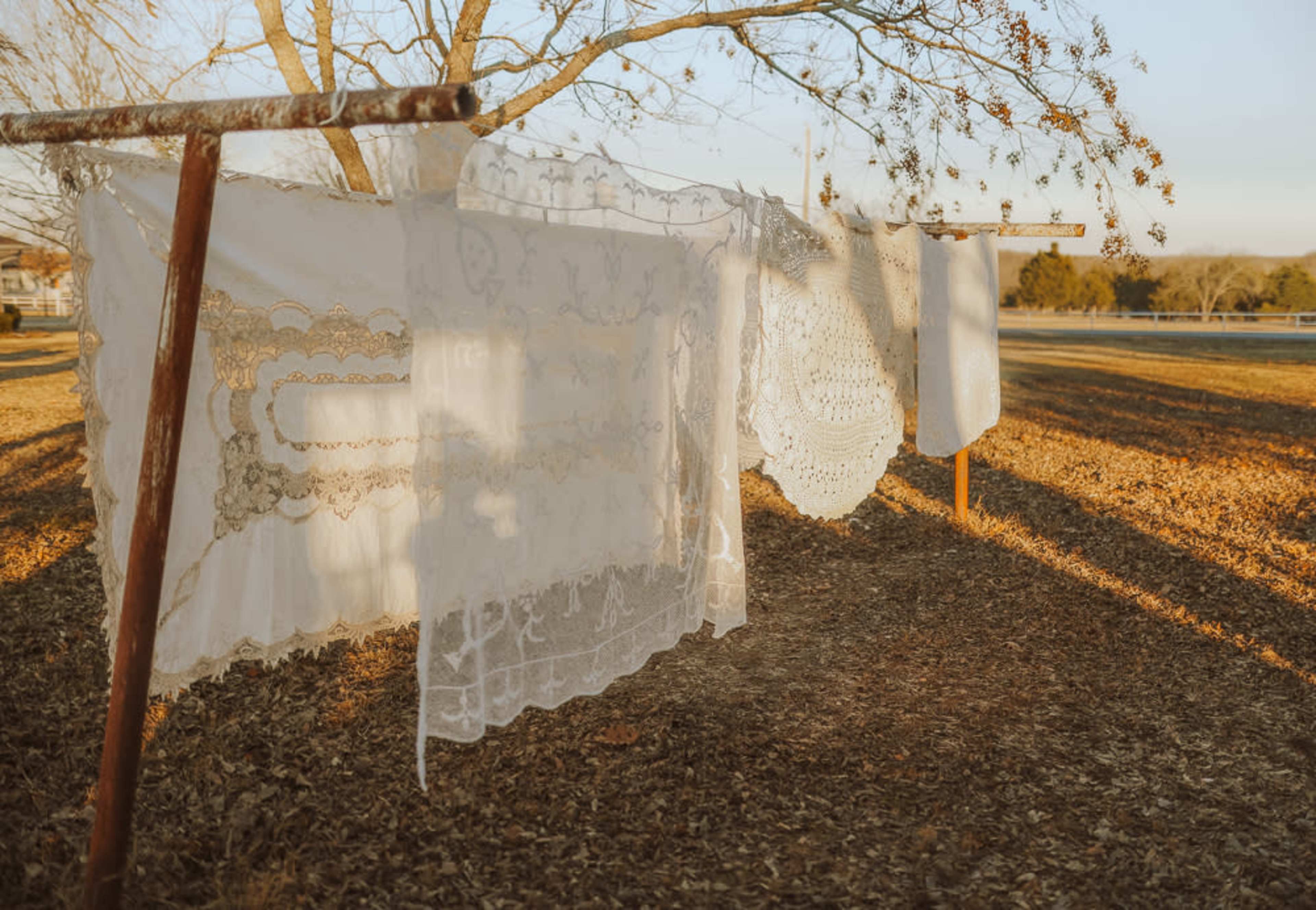 Linen tablecloths and doilies hang on a clothesline under a tree in a grassy field.