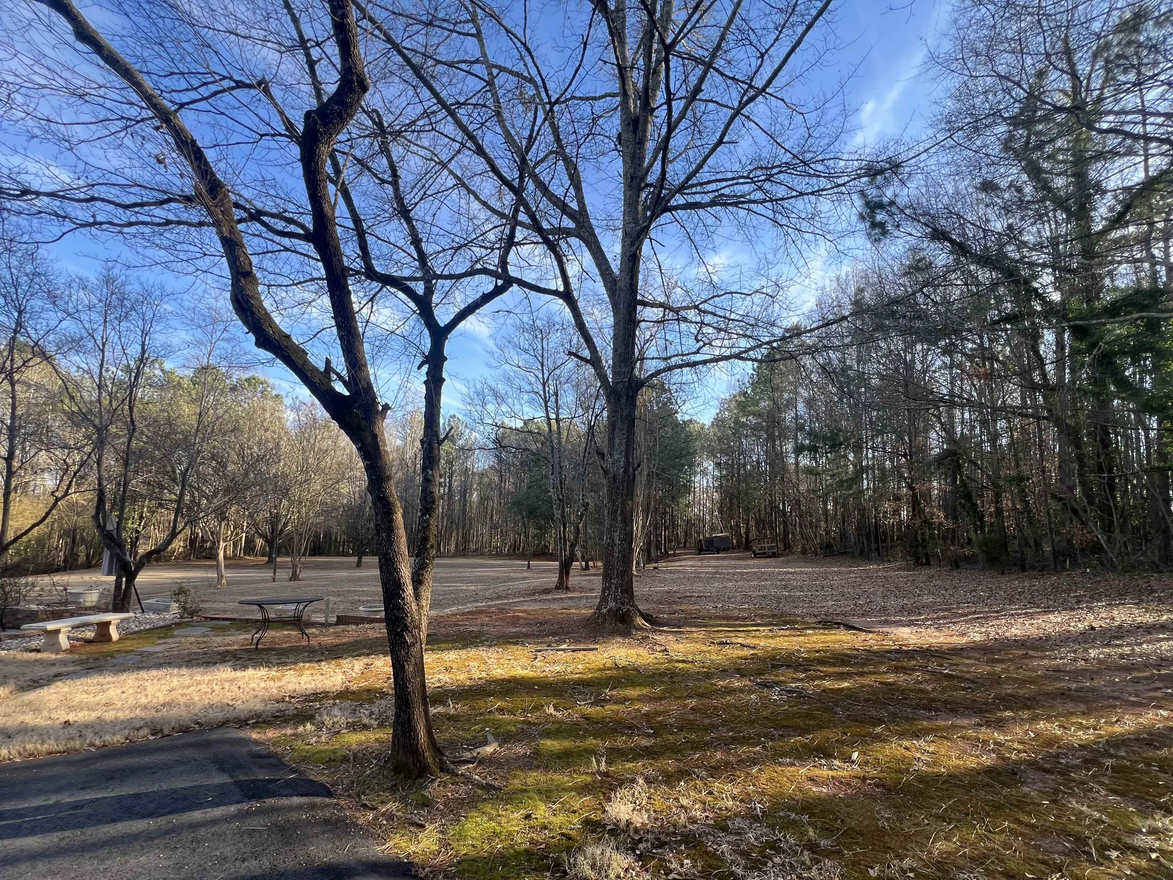 A park scene features bare trees and a grassy area, with scattered benches and a wooded backdrop under a clear blue sky.
