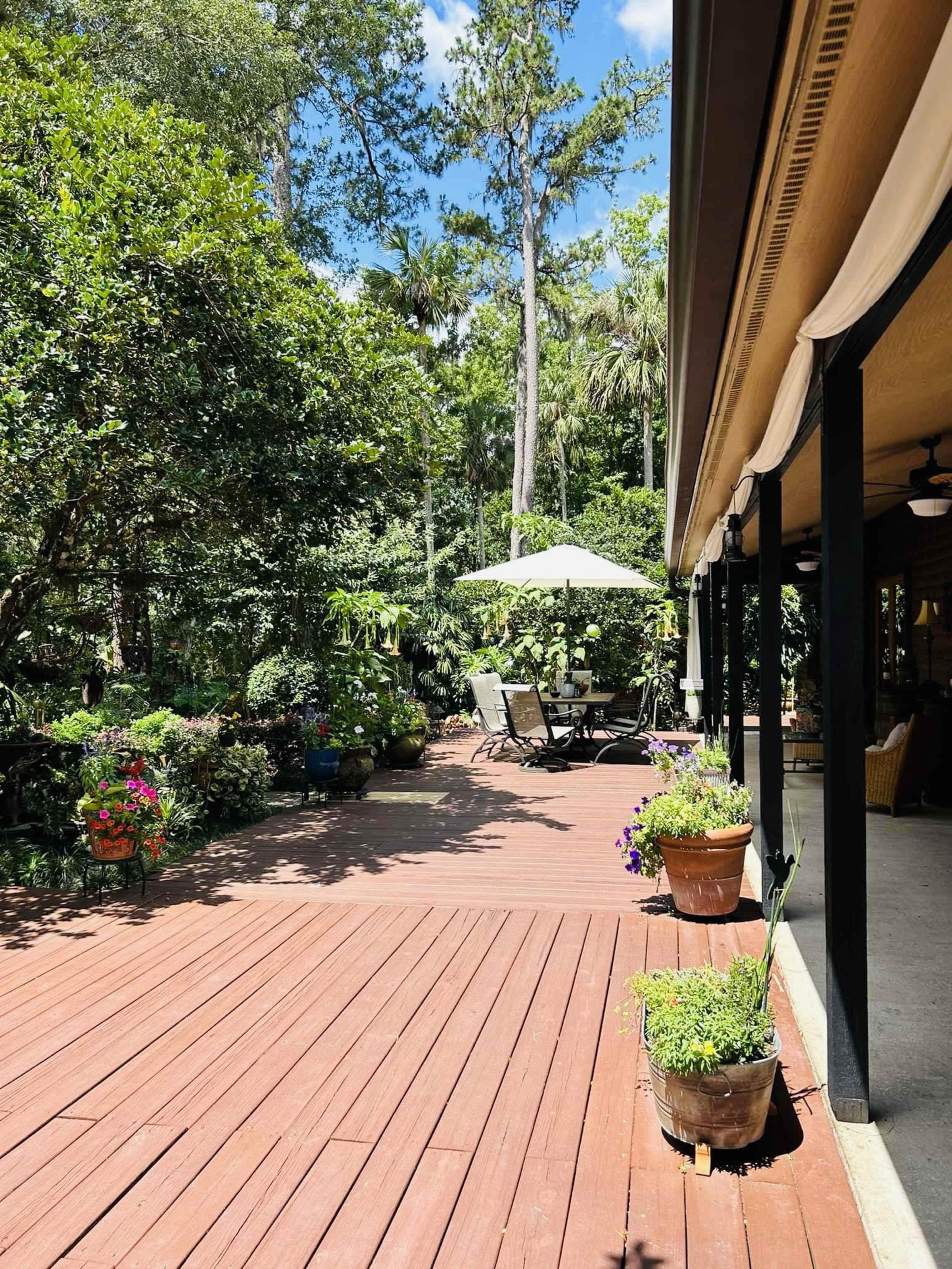 A wooden deck surrounded by various potted plants and trees, with a sunshade and loungers arranged in a garden setting.