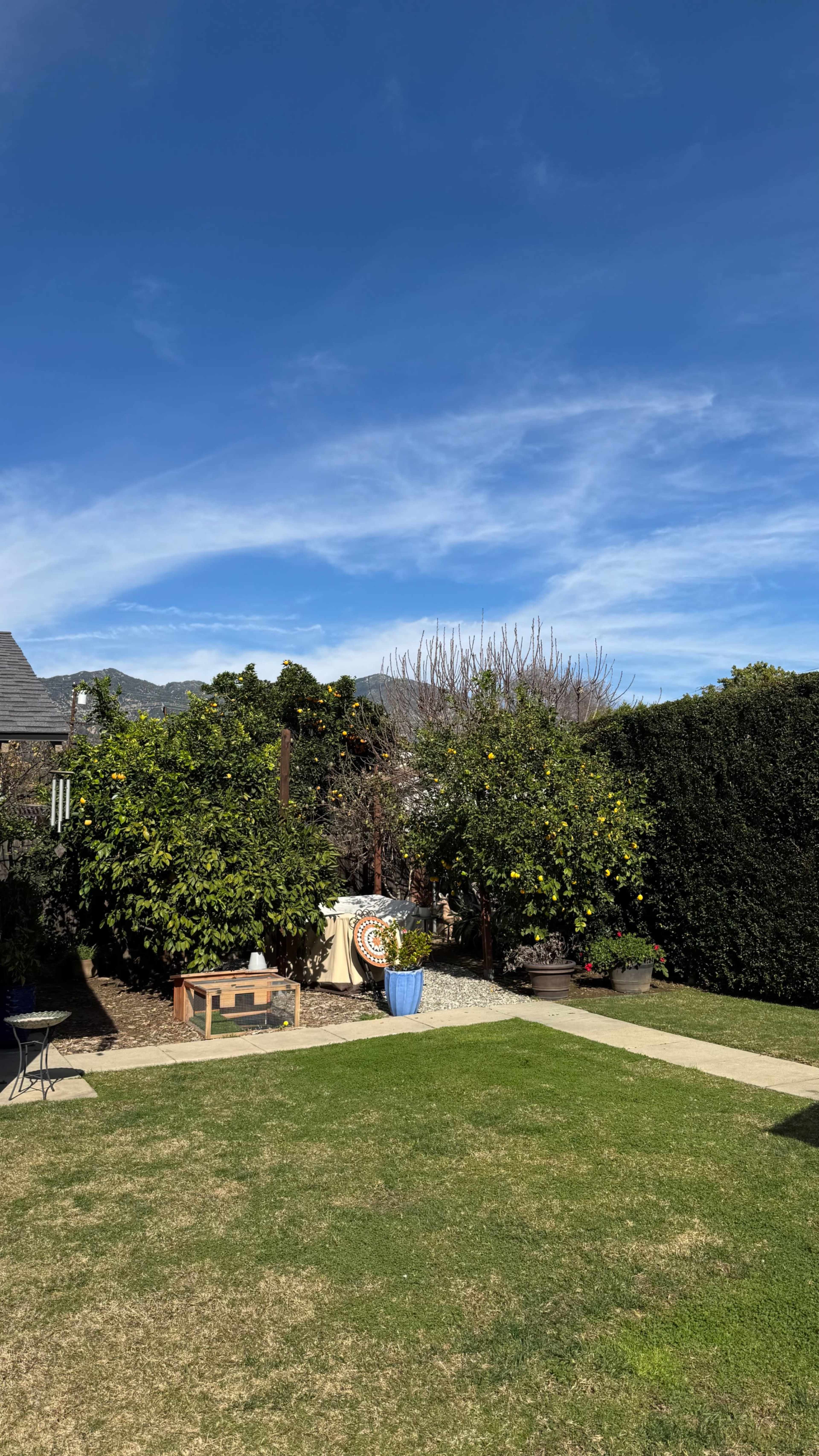 Private Backyard Event Space | Intimate Gatherings & Photo Shoots Image in , Monrovia, CA