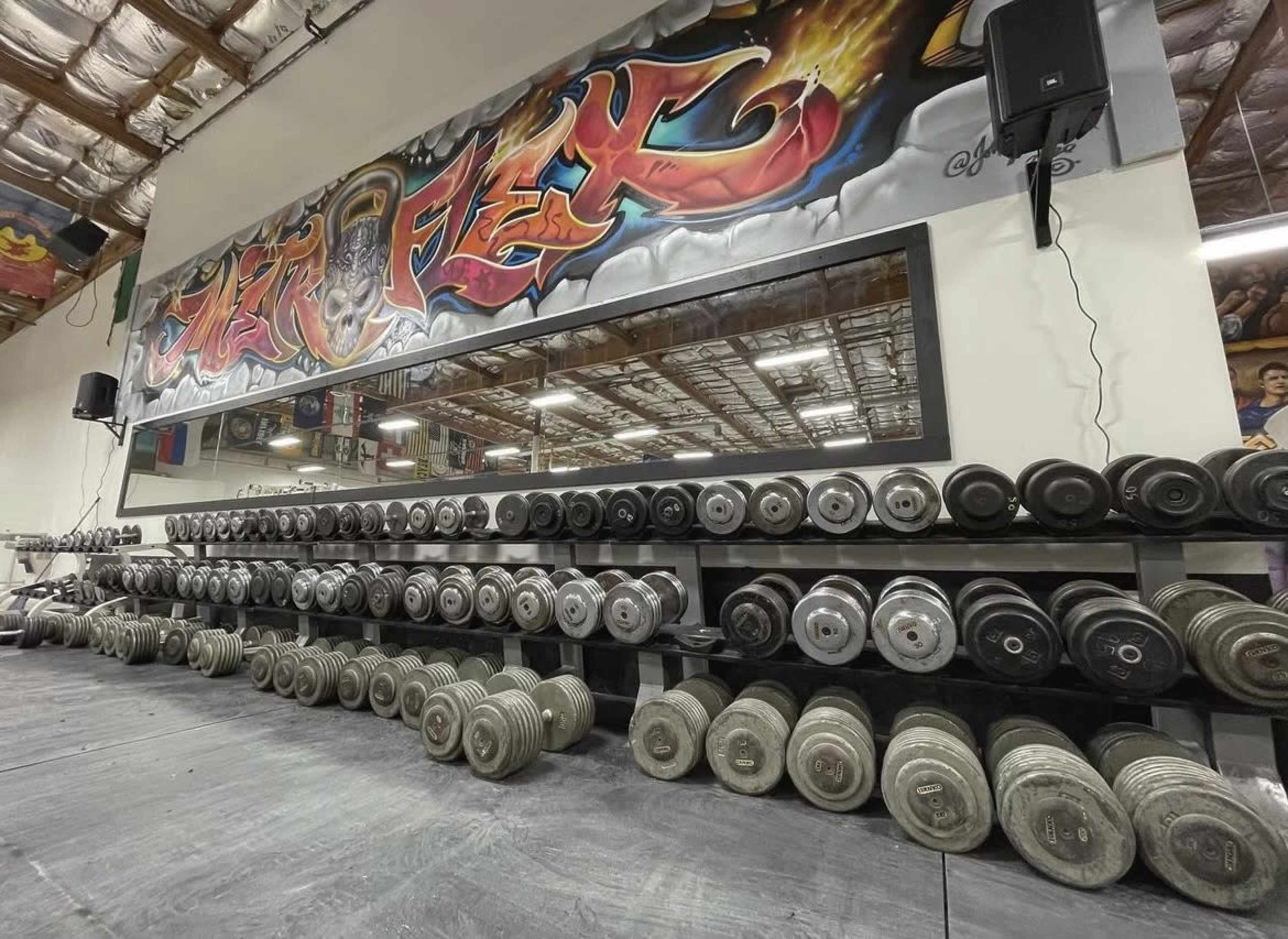 A long rack filled with various sizes of dumbbells in a gym, with a large mirror and graffiti artwork on the wall behind.