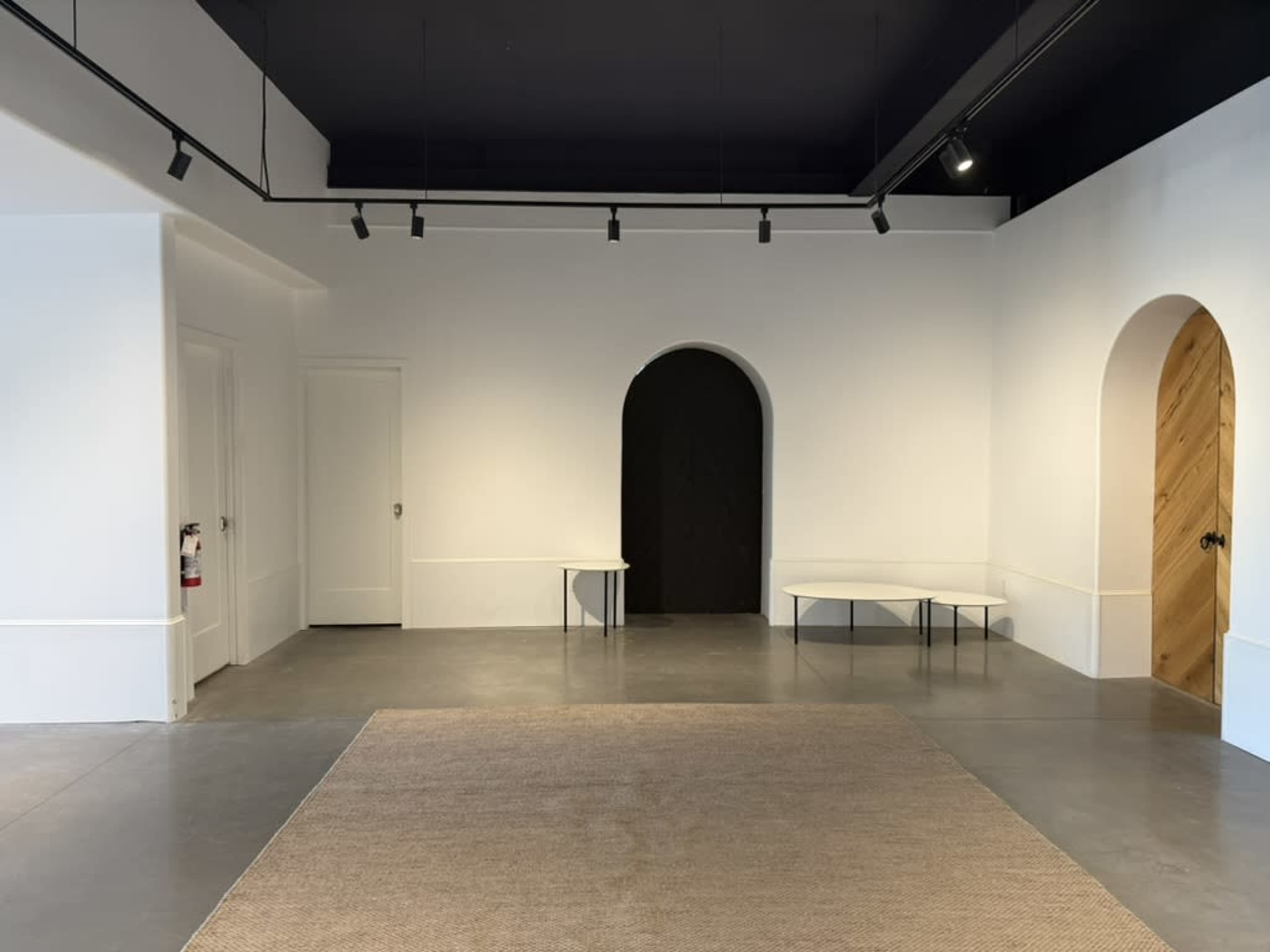 The image shows an empty gallery space with white walls, two arch-shaped doorways, and a light-colored rug on the gray floor.