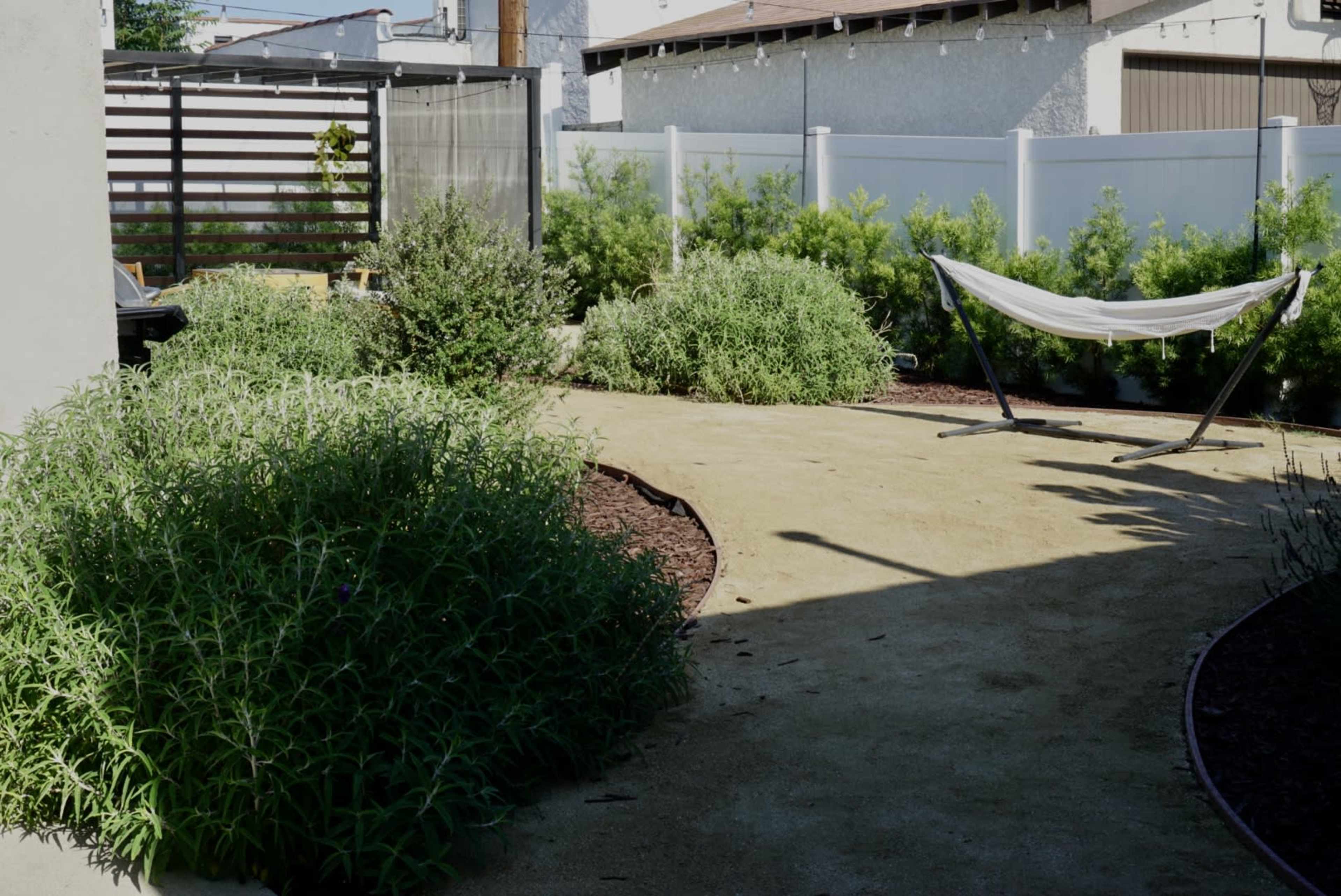 A landscaped backyard featuring a hammock, low shrubs, and a walking path.