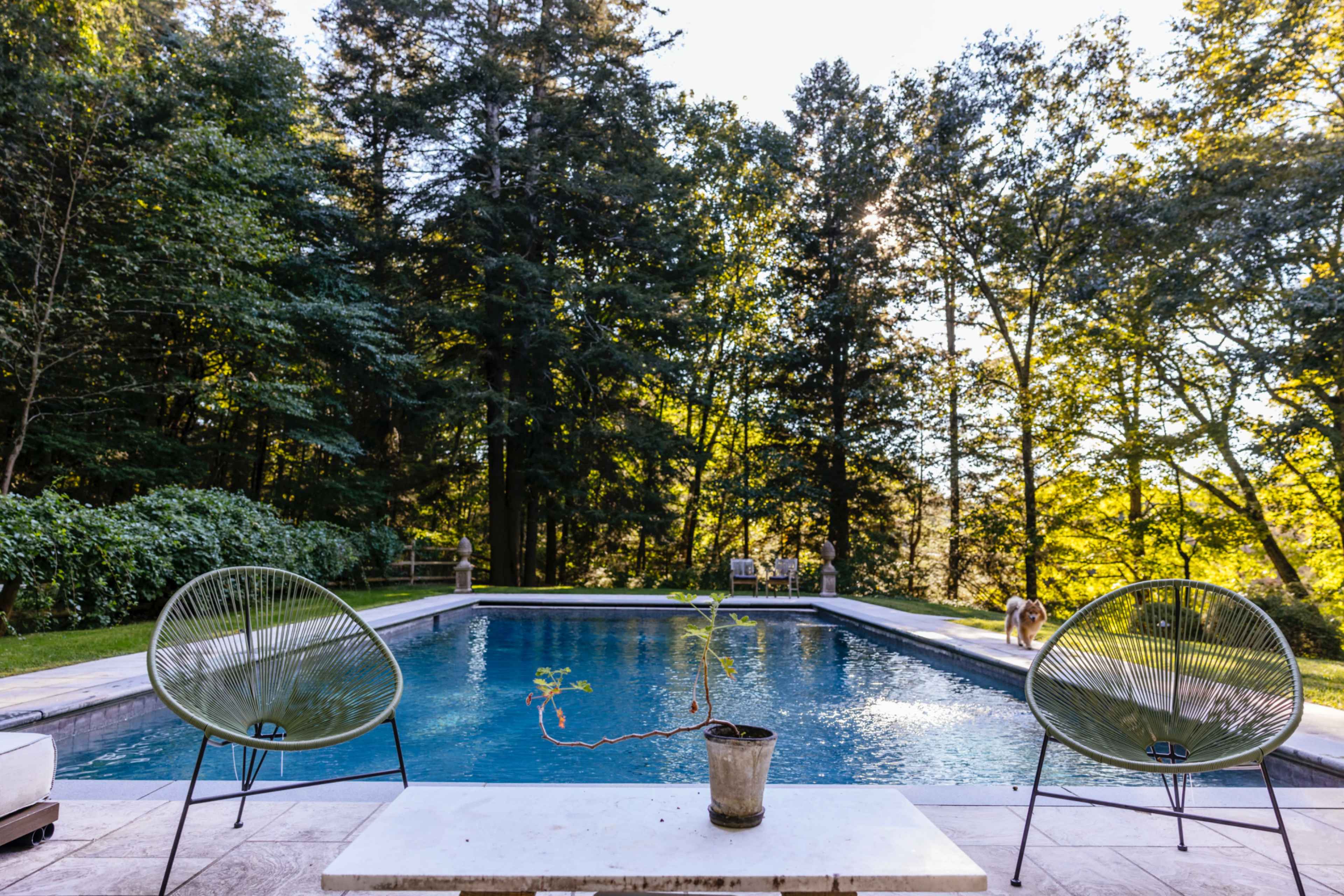 Picturesque , Upstate Estate Grounds Image in New Castle, Moutnt kisco, NY