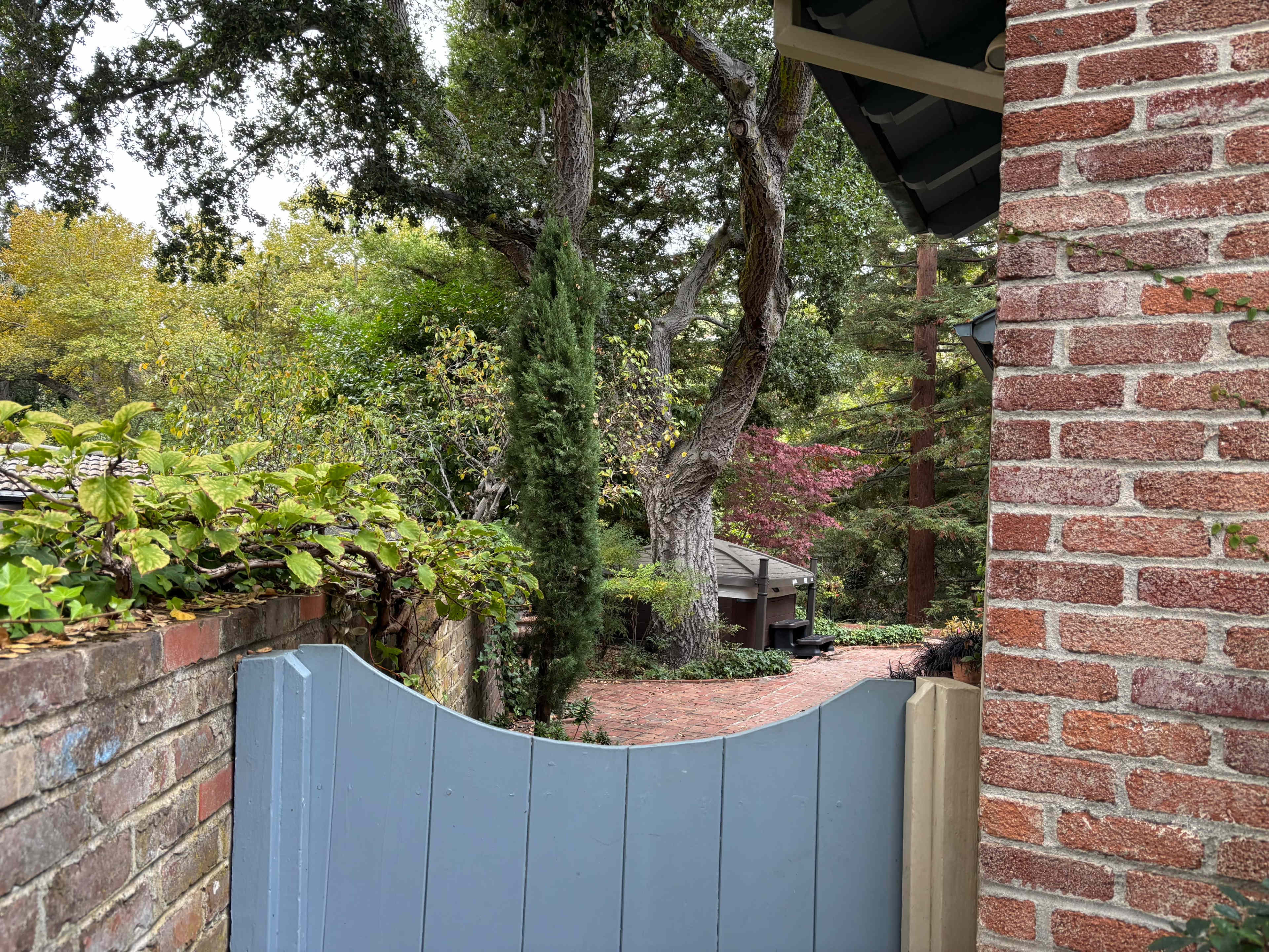 A blue wooden gate partially opens to reveal a pathway surrounded by trees and greenery in a private garden setting.