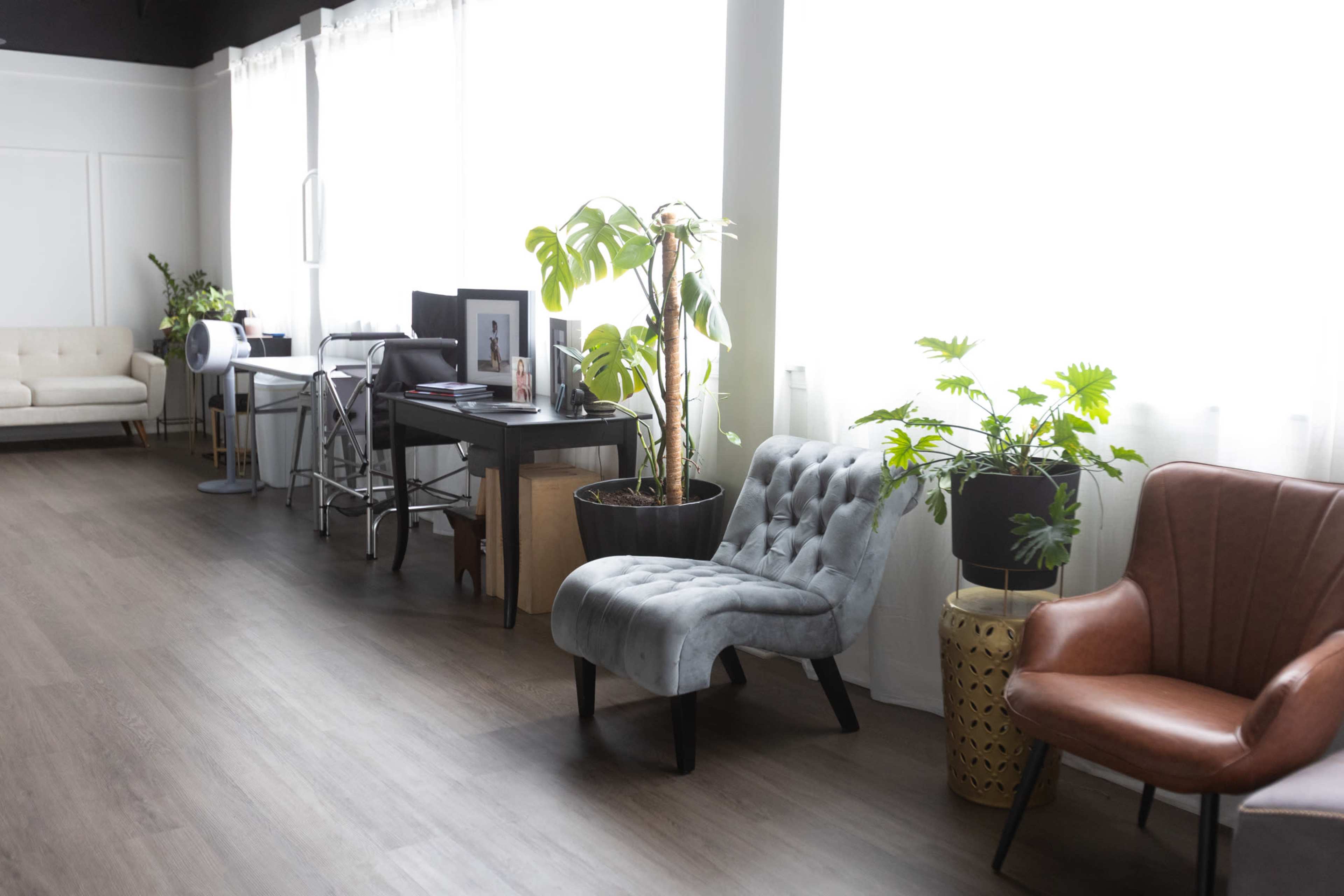 The image shows a well-lit interior space featuring a mix of furniture, including a gray chaise lounge, a brown armchair, a black plant pot with greenery, and a desk with framed photos.