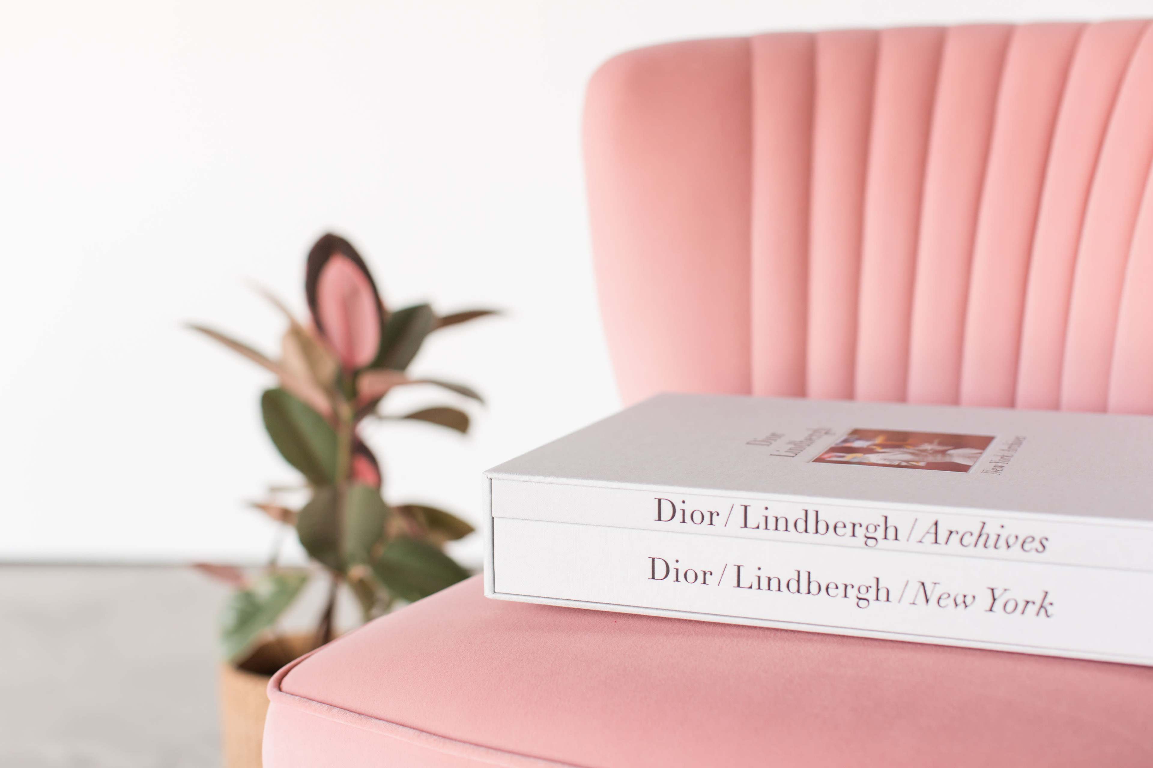 A stack of two books titled "Dior/Lindbergh Archives" and "Dior/Lindbergh/New York" rests on a pink upholstered chair beside a potted plant.