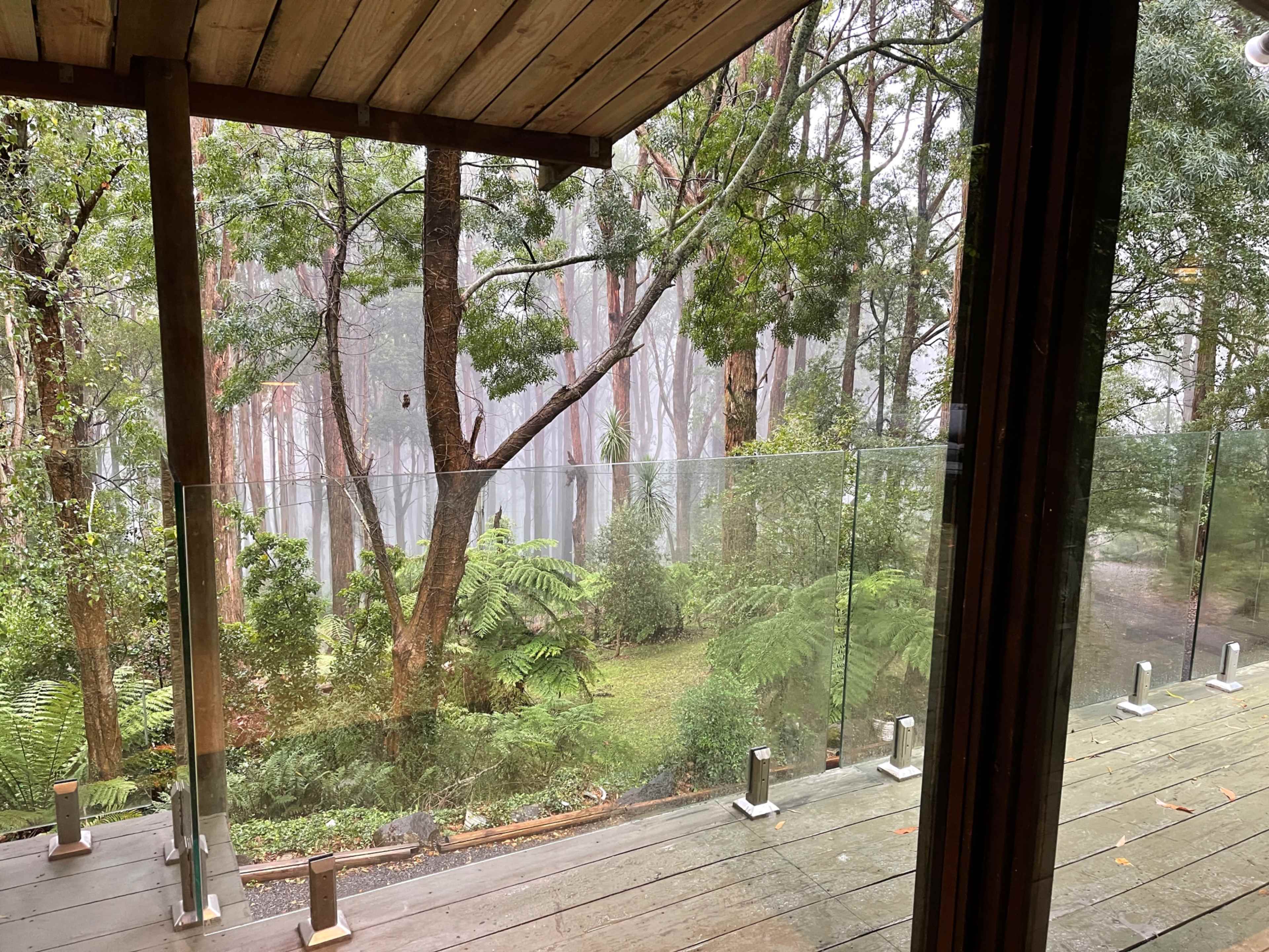 A wooden deck with a glass railing overlooking a forested area featuring tall trees and dense greenery.