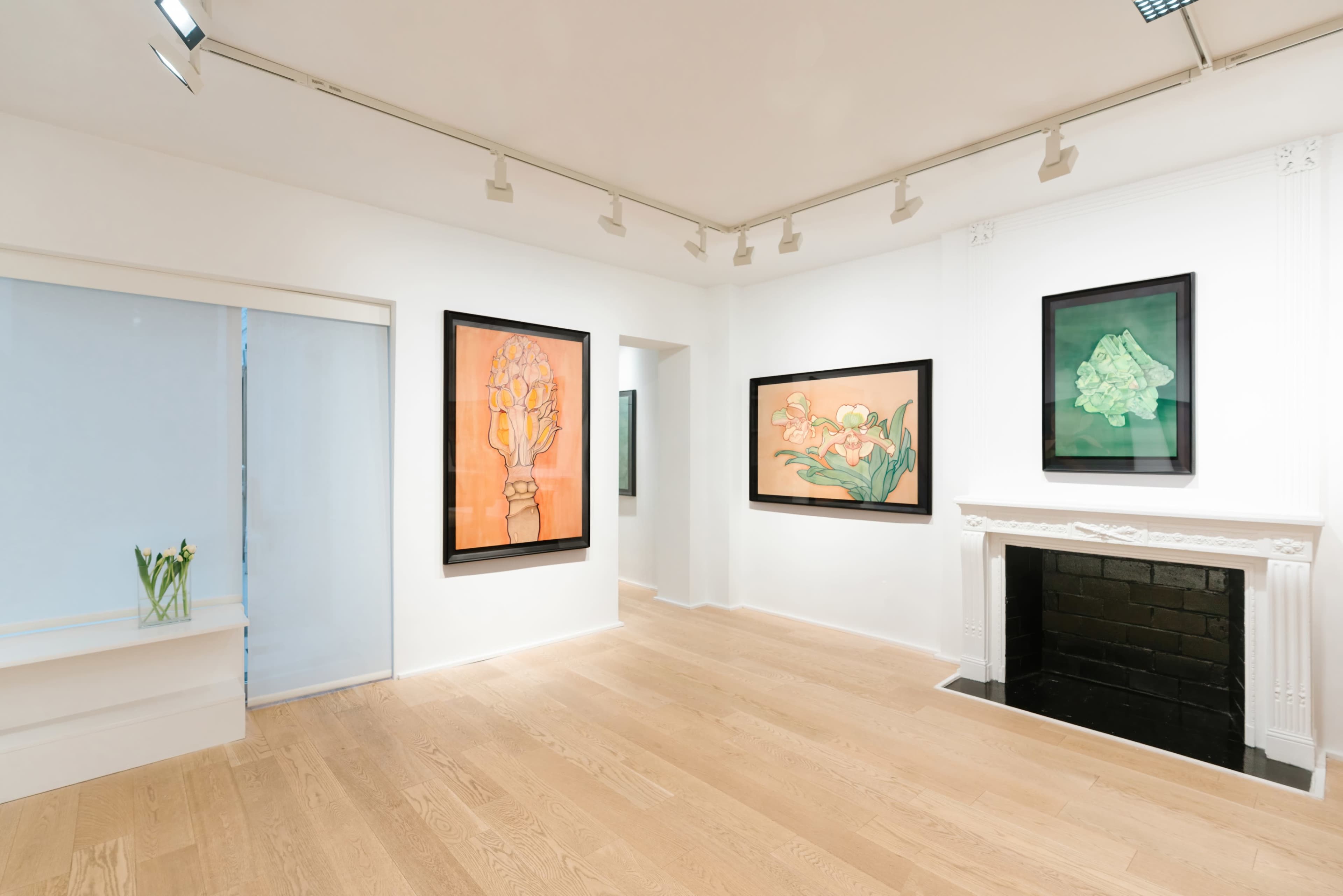A gallery with four framed paintings on the white walls, a black fireplace, and wooden flooring.