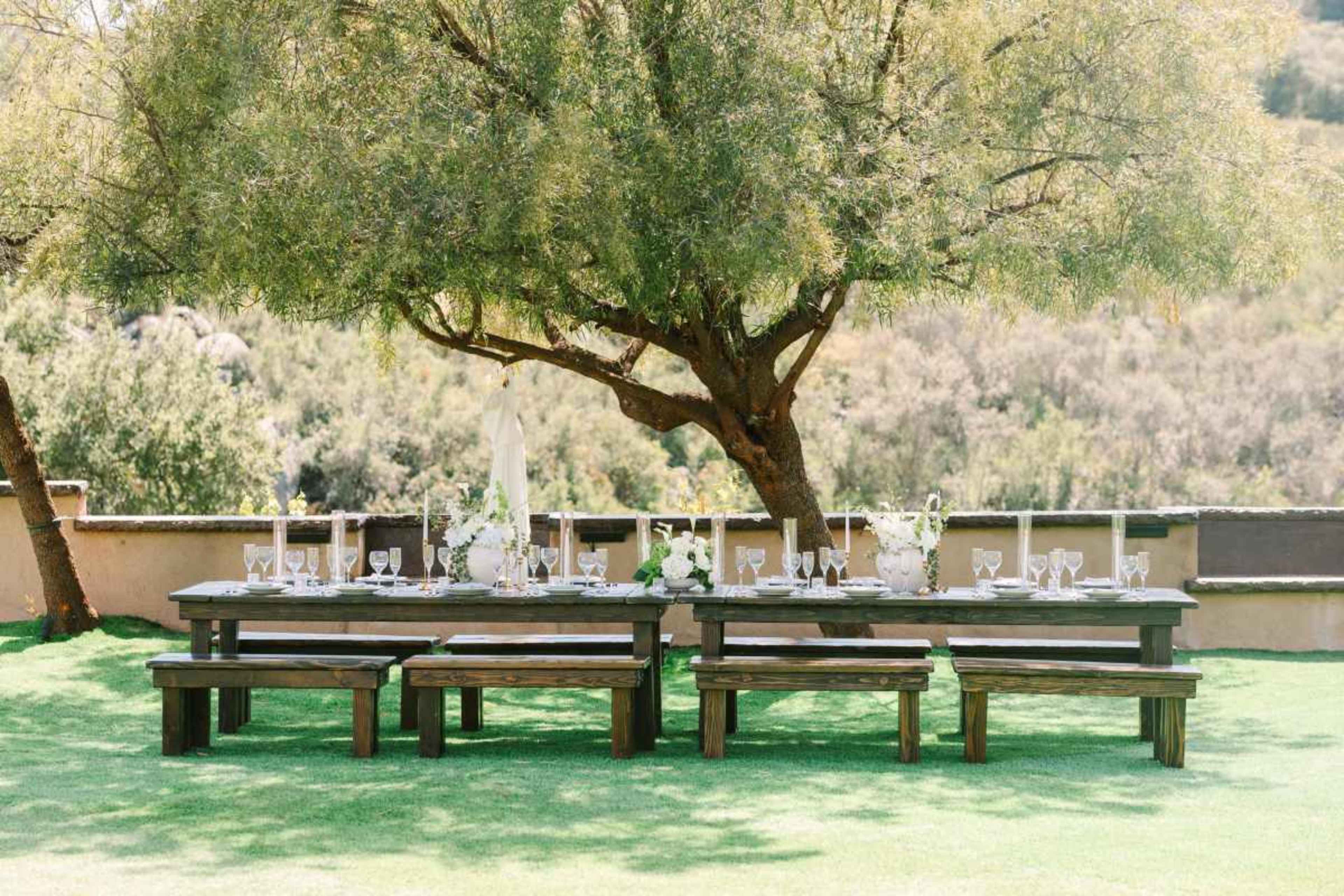 A long wooden table is set with glassware and floral arrangements under a large tree on a grassy area.