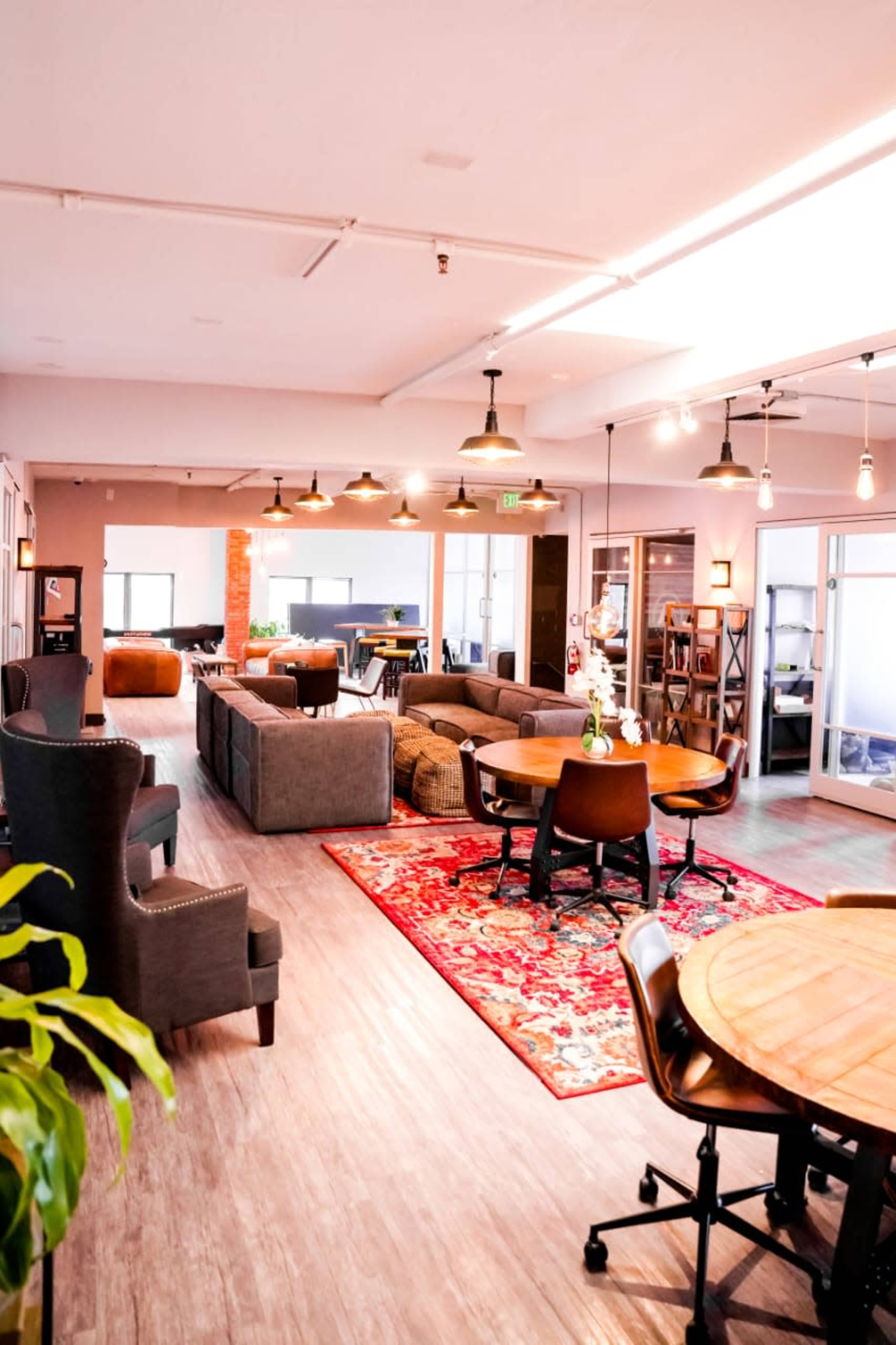 A modern office space features comfortable seating areas, tables, and a decorative rug, with natural light illuminating the interior.