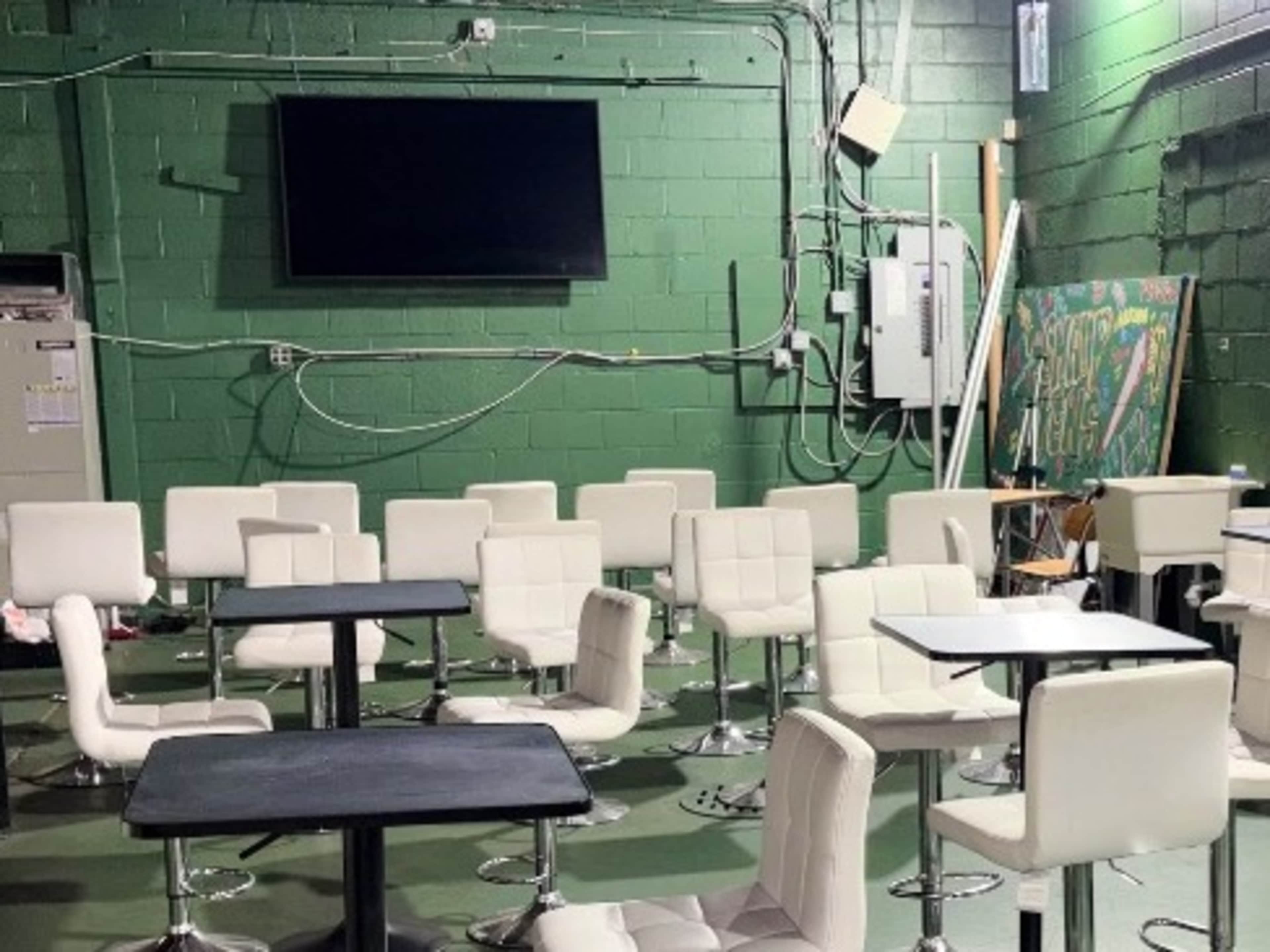 Television Screens And Or Projector