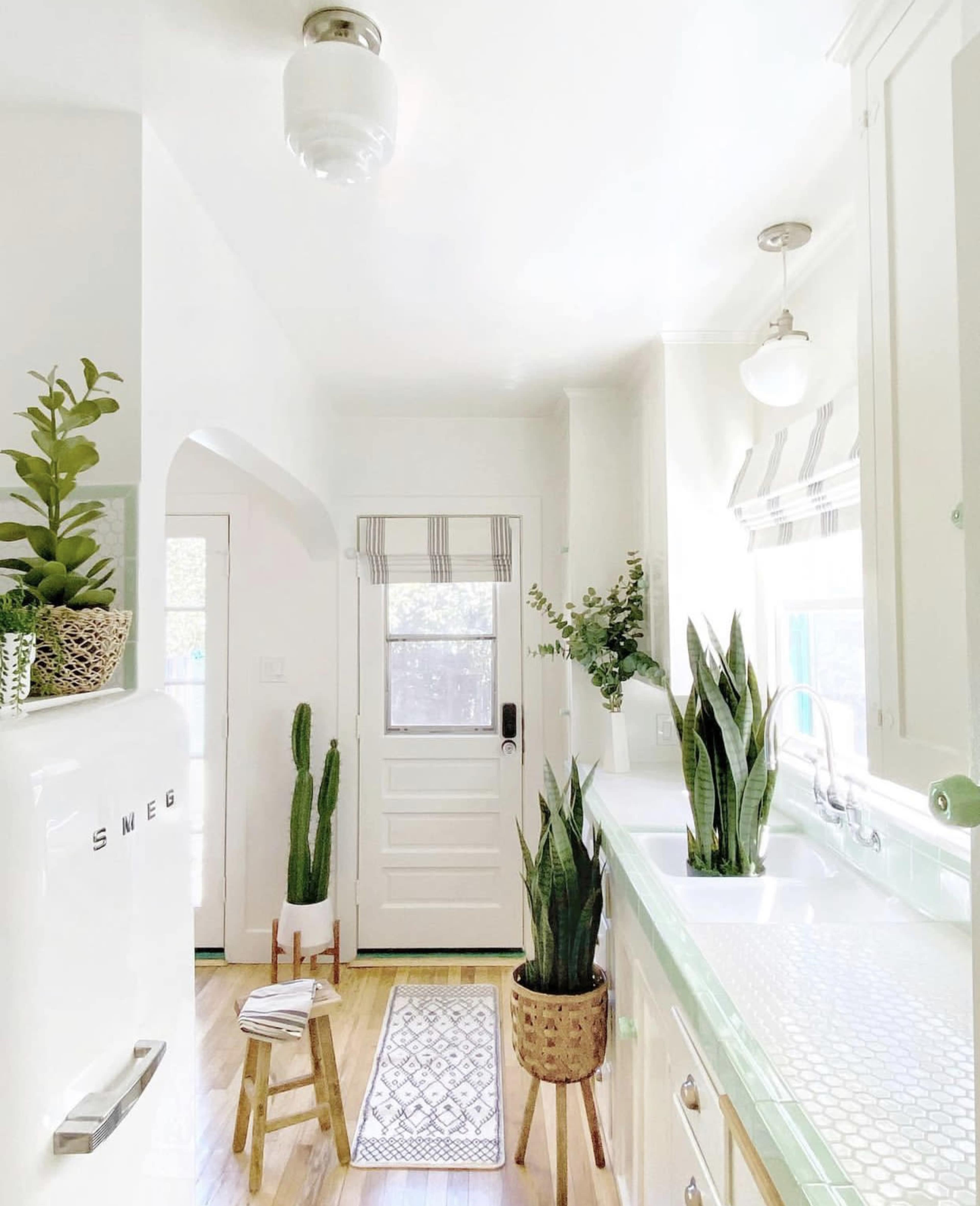A bright kitchen with white walls, a door leading outside, various indoor plants, and a retro-style refrigerator.