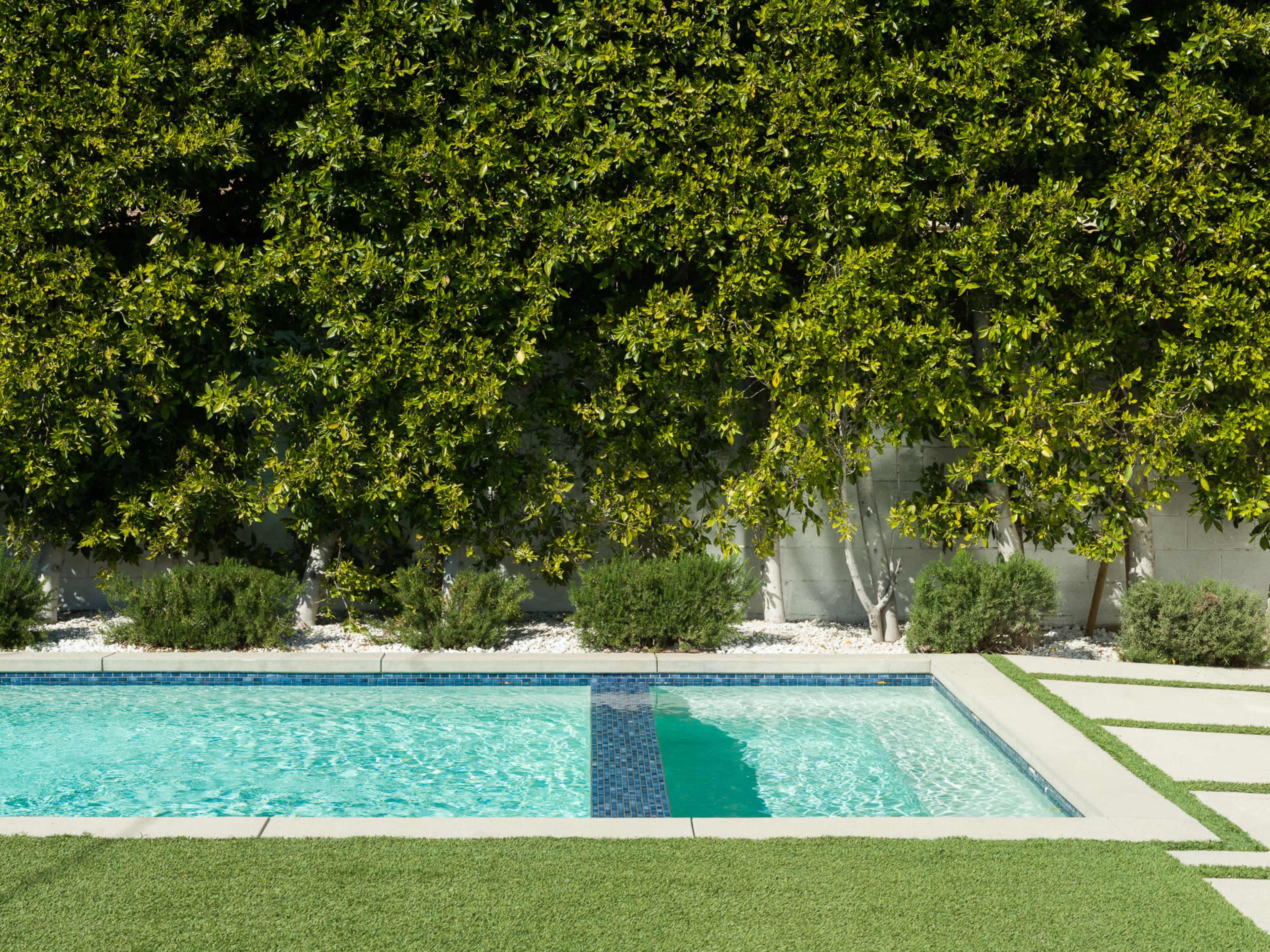 A swimming pool bordered by a manicured lawn and dense greenery.