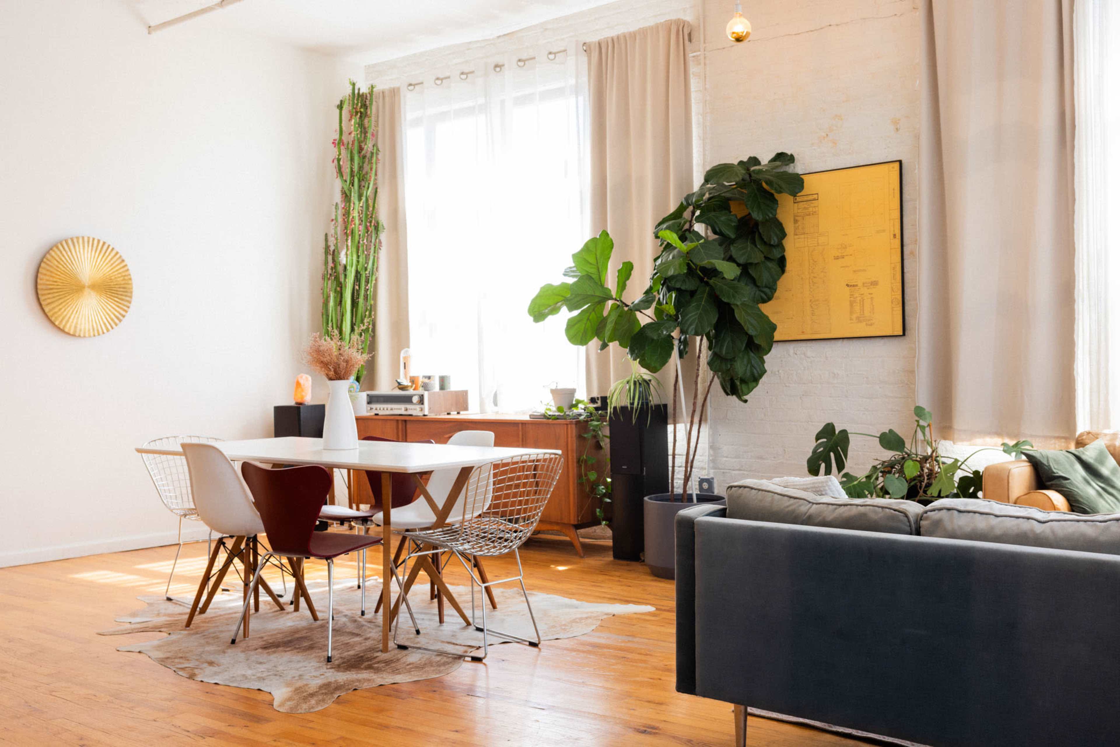 The image shows a bright, modern living space featuring a dining area with a round table and chairs, a large plant, and a cozy seating area.