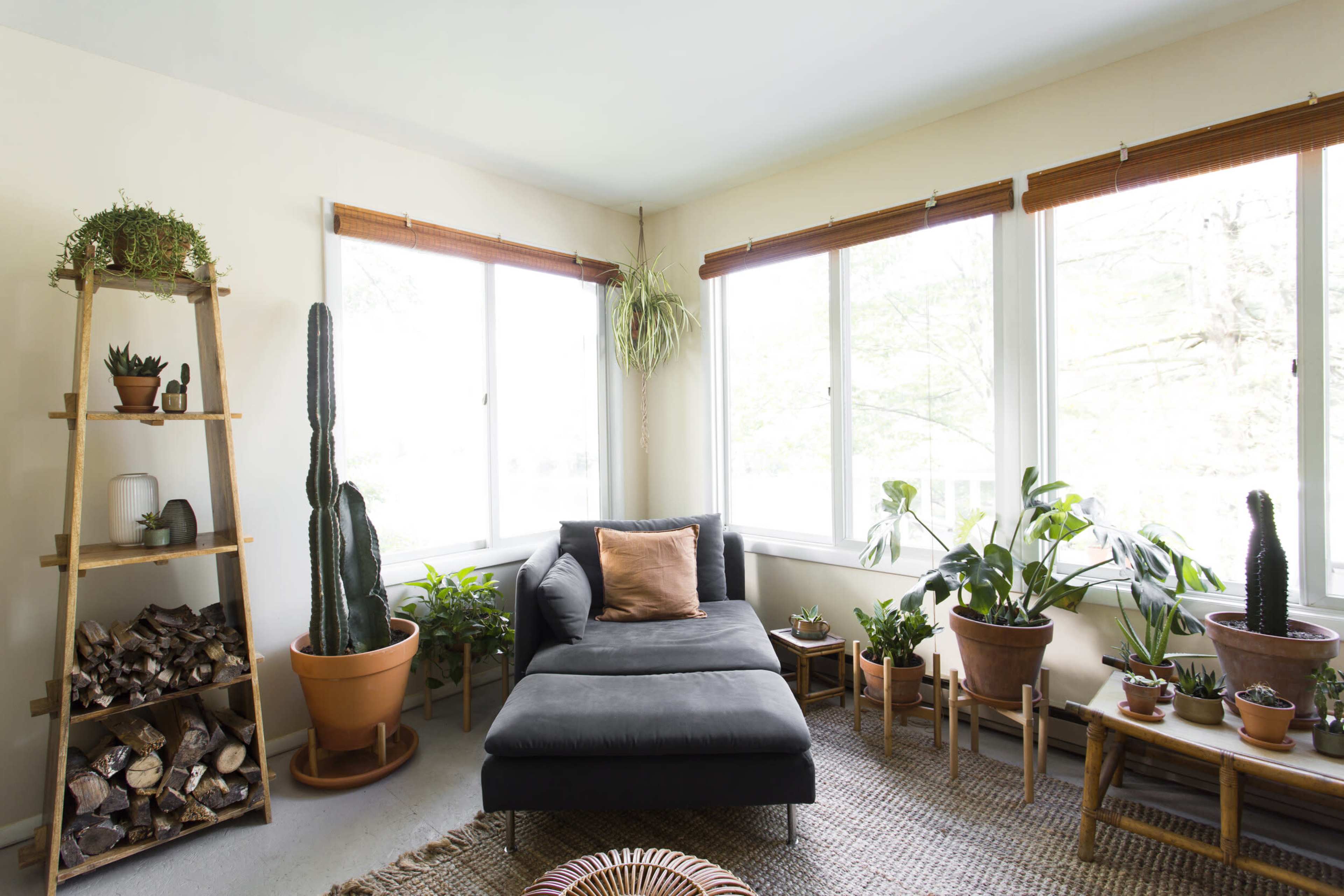 The image shows a bright living room with large windows, a gray chaise lounge, various potted plants, and a wooden shelf holding more plants and firewood.