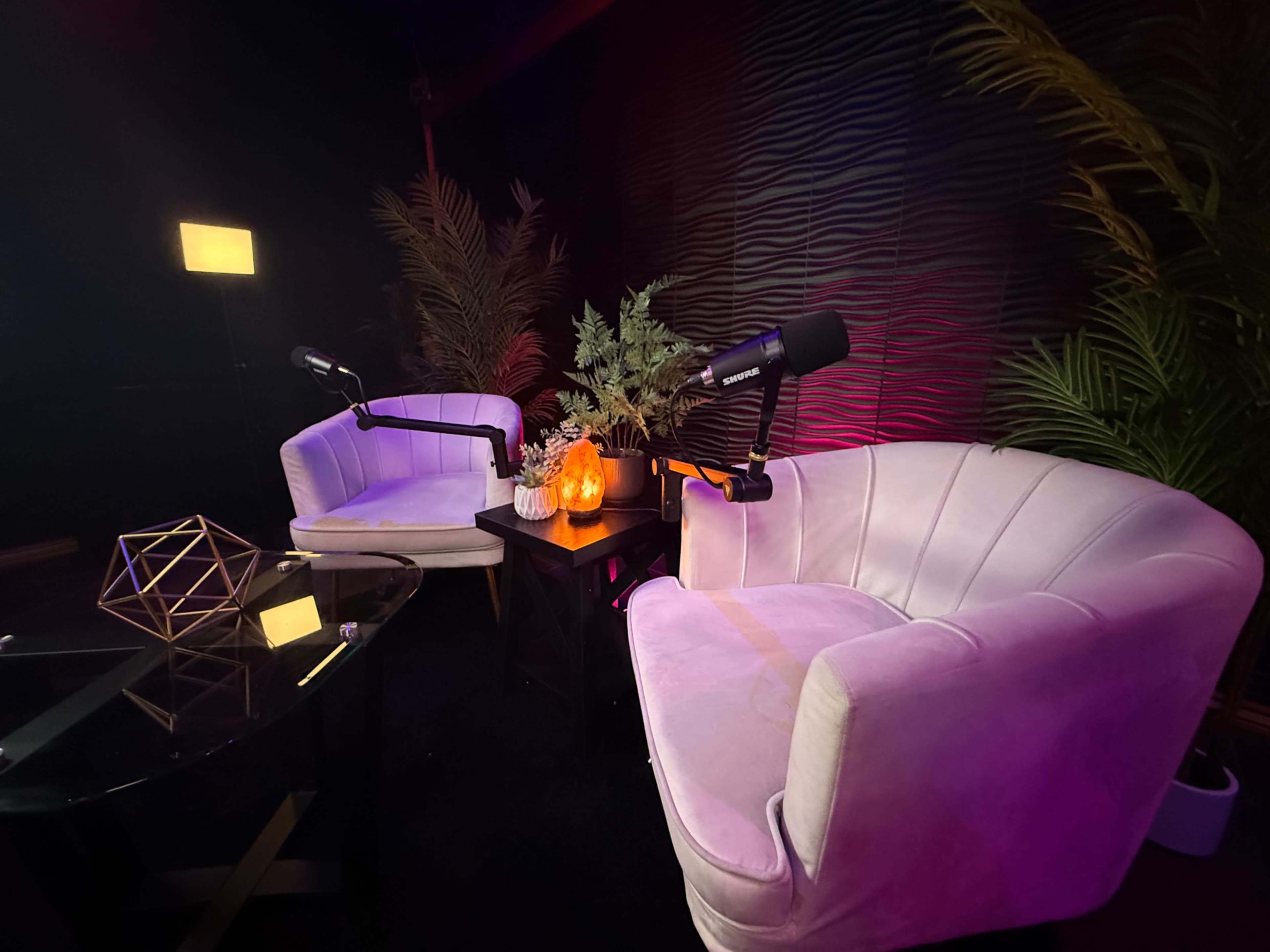 The image shows a small, modern interview set featuring two velvet chairs, a glass table with decorative items, and potted plants against a textured wall.