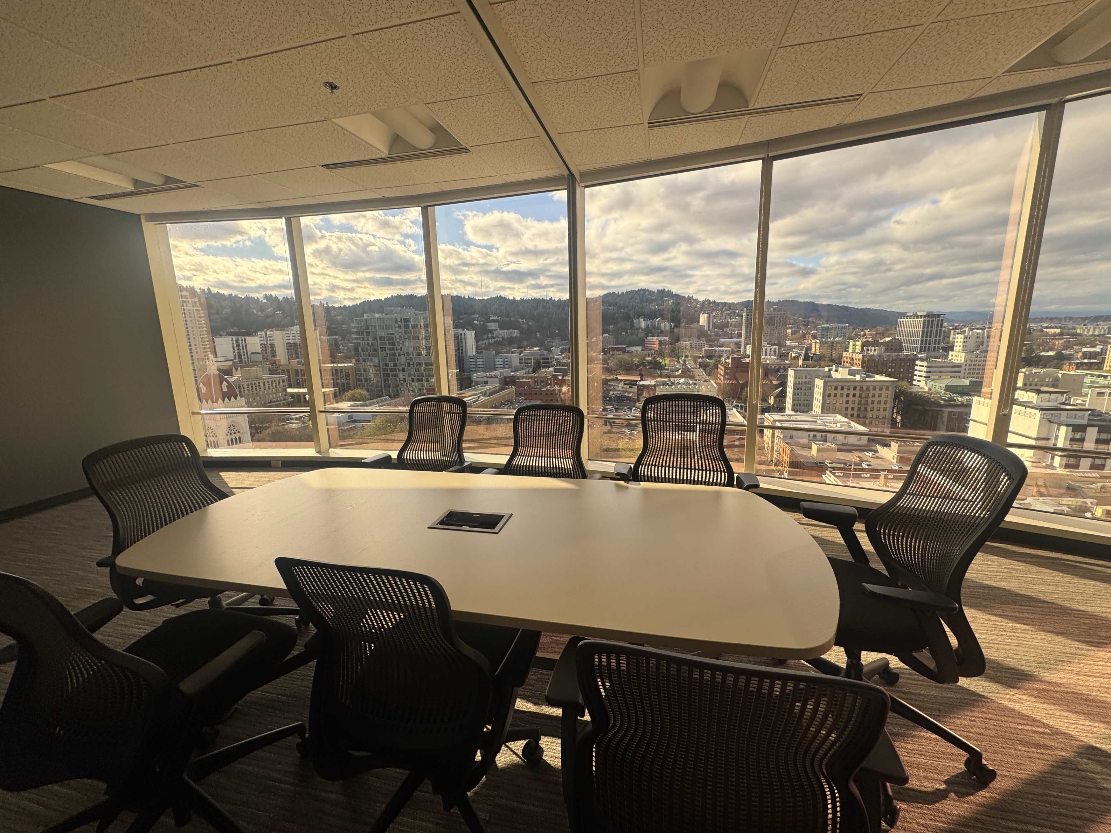 A spacious conference room with a large oval table and several ergonomic chairs overlooks a panoramic view of a city skyline through large windows.