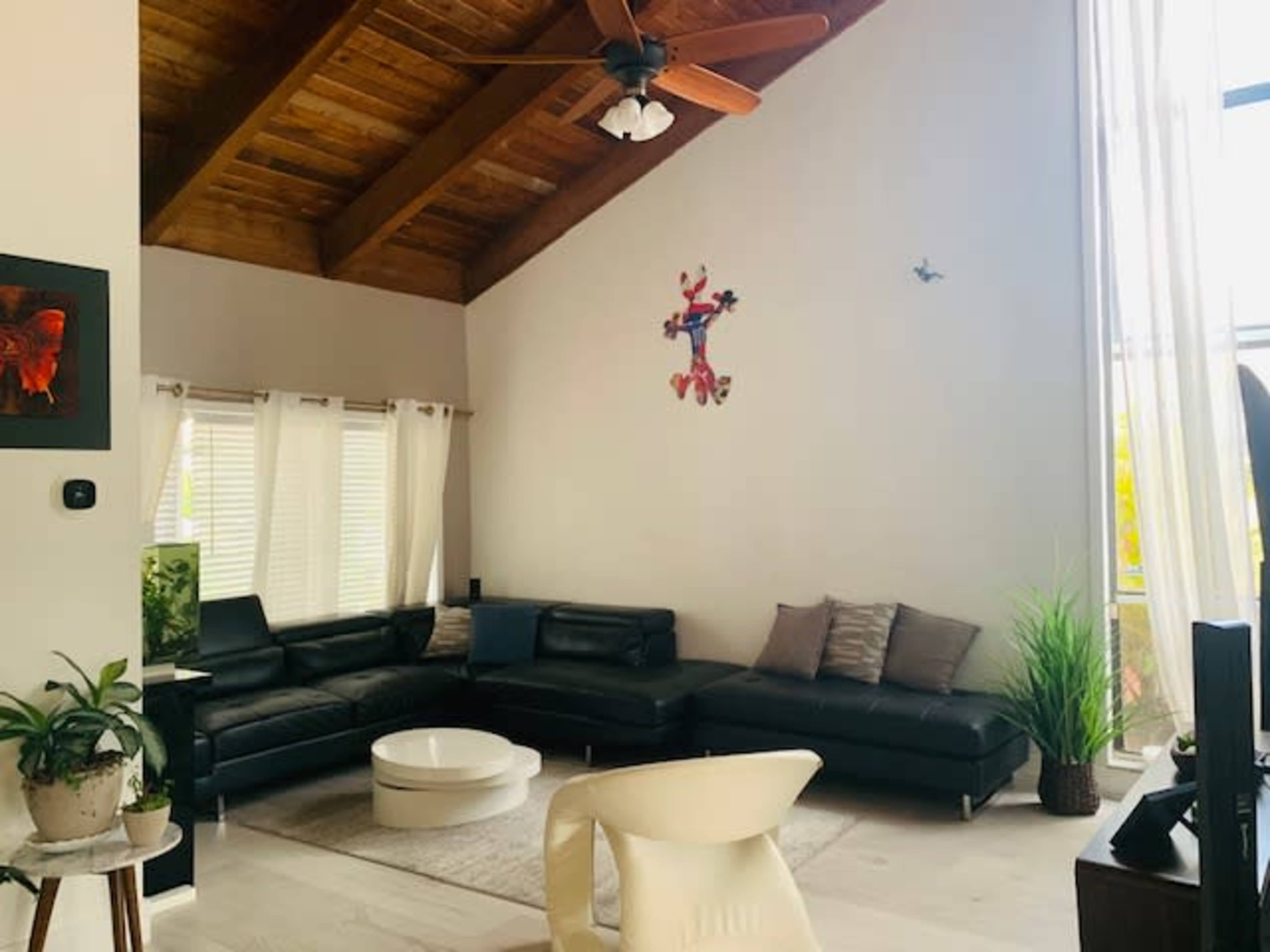 The image shows a modern living room with a large black sectional sofa, a round white coffee table, and tall windows allowing natural light to enter.