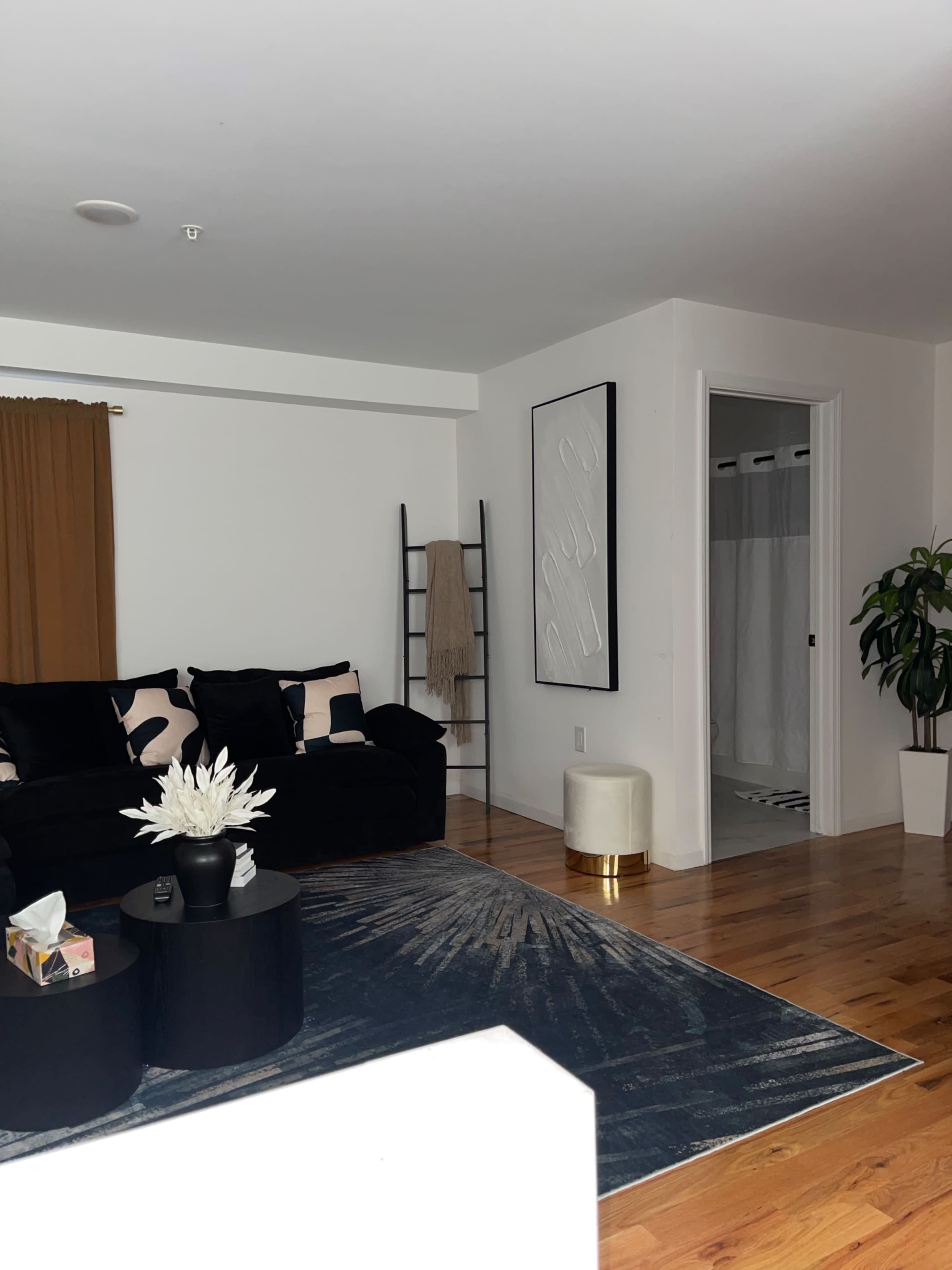 The image shows a living room featuring a black sofa, a decorative ladder, a houseplant, and a bathroom visible in the background.