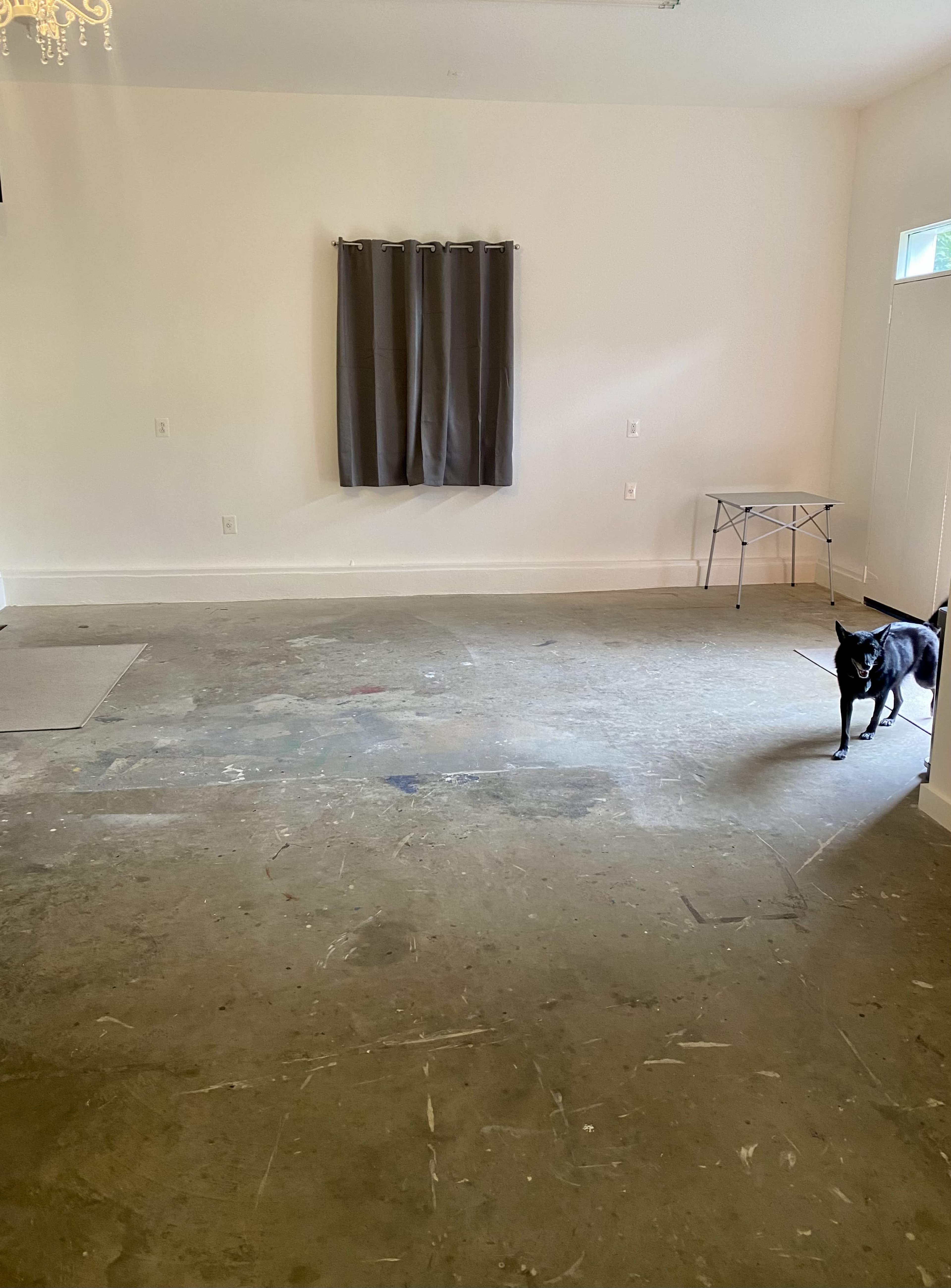 The image shows a vacant room with a concrete floor, a window with a curtain, and a small folding table in the corner, along with a black dog standing on the floor.