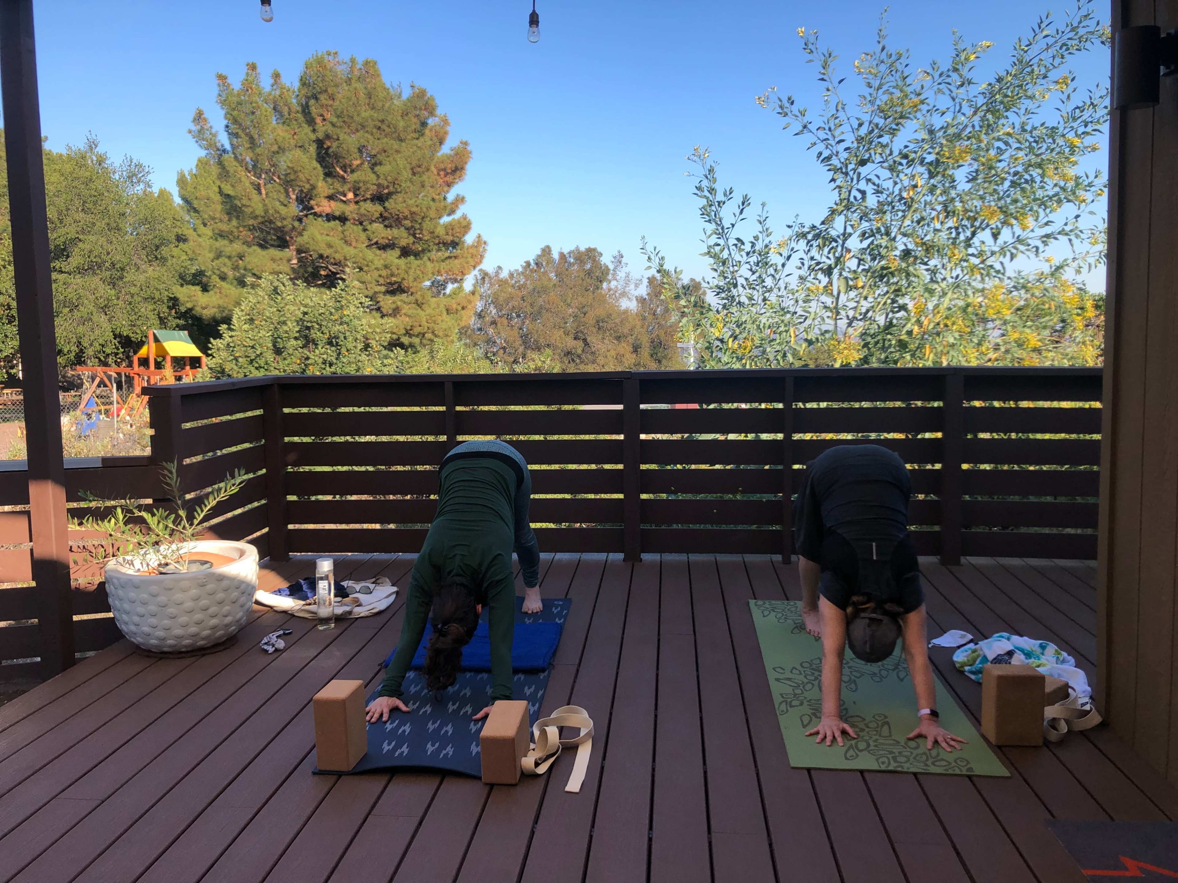 Two individuals practice yoga in downward-facing dog pose on a wooden deck surrounded by greenery.