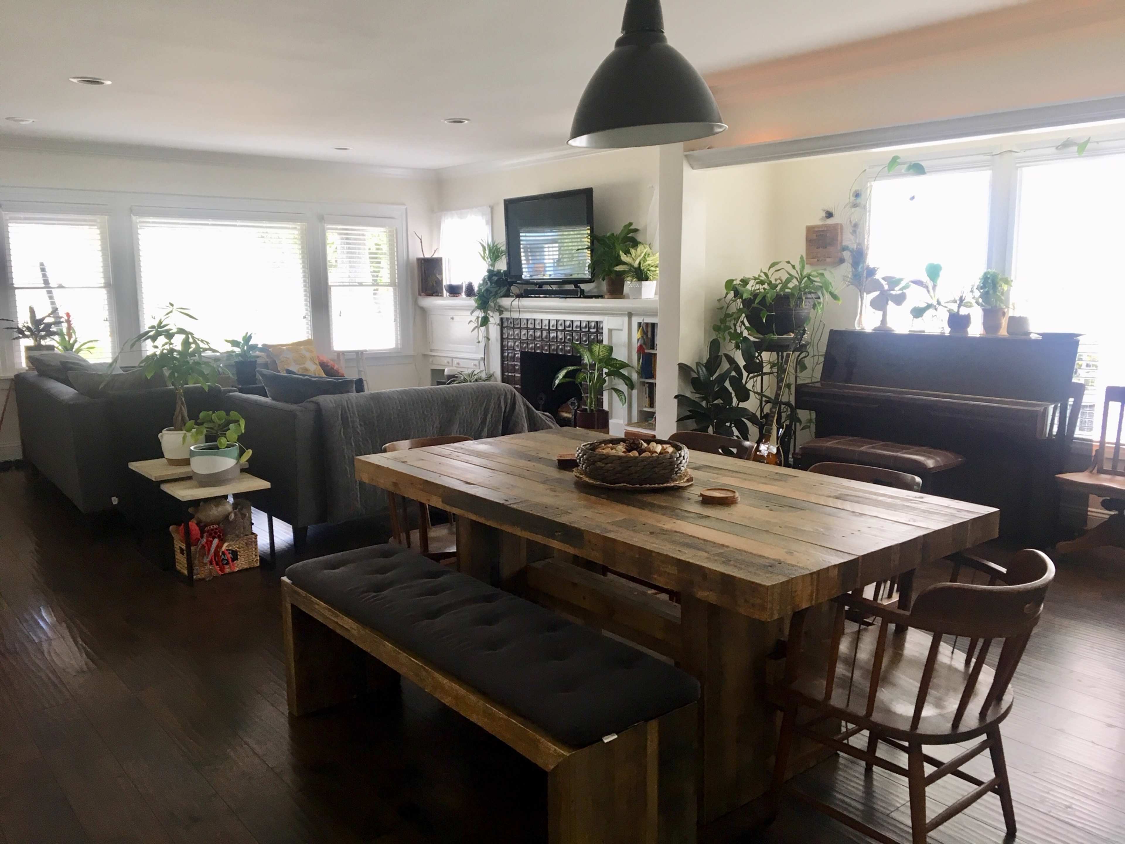 The image shows a bright living room with a wooden dining table, surrounded by potted plants, a sofa, and a piano, all under a ceiling light.