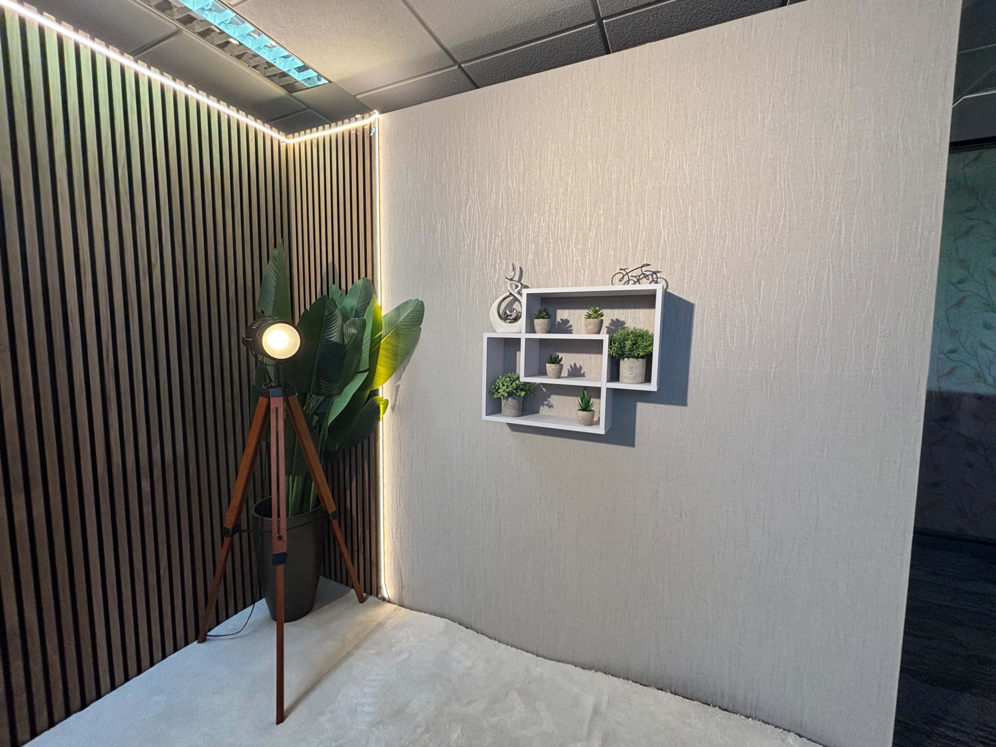 The image depicts a corner of a room featuring a wooden accent wall, a floor lamp, and a white shelf with small potted plants.