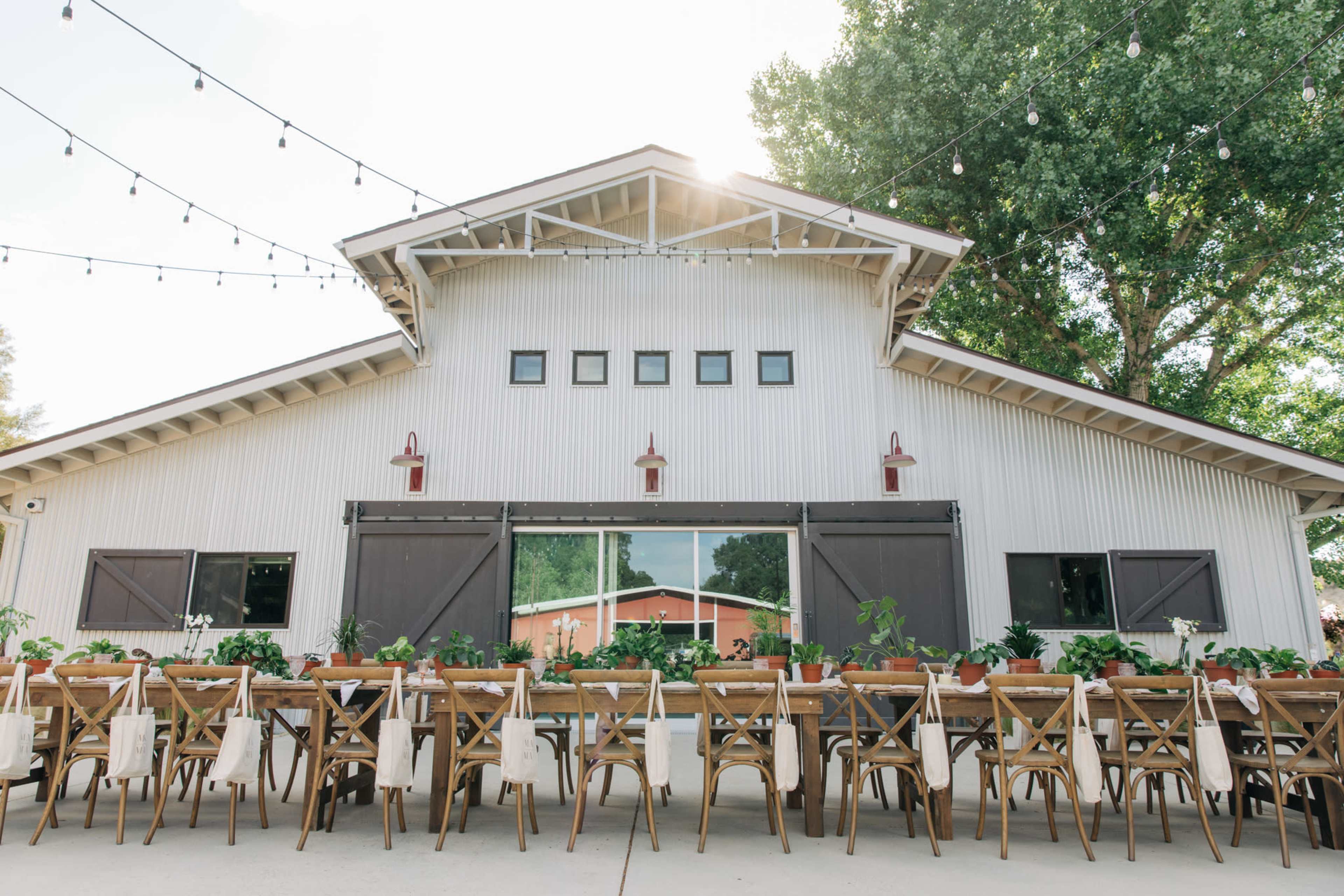 A long wooden dining table is set outside in front of a white barn with string lights and potted plants.
