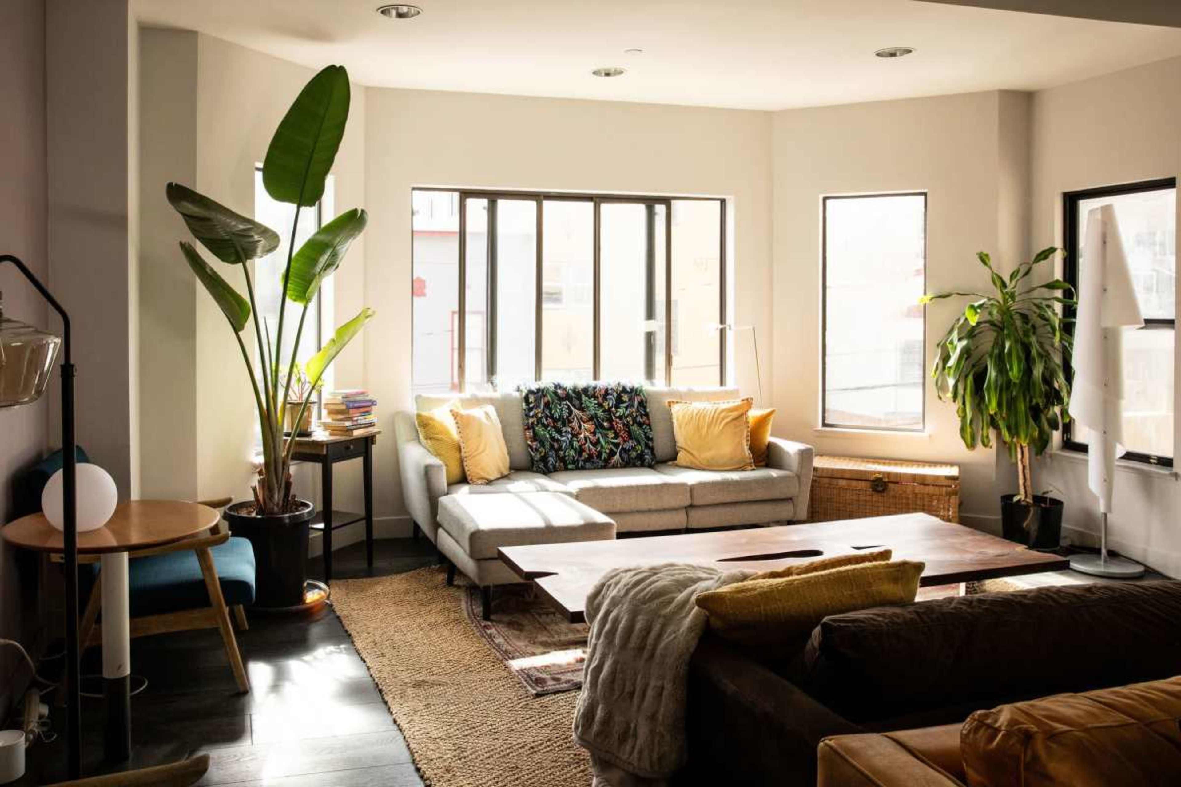 The image shows a modern living room with a grey sofa adorned with colorful pillows, large windows, and plants in the corners.